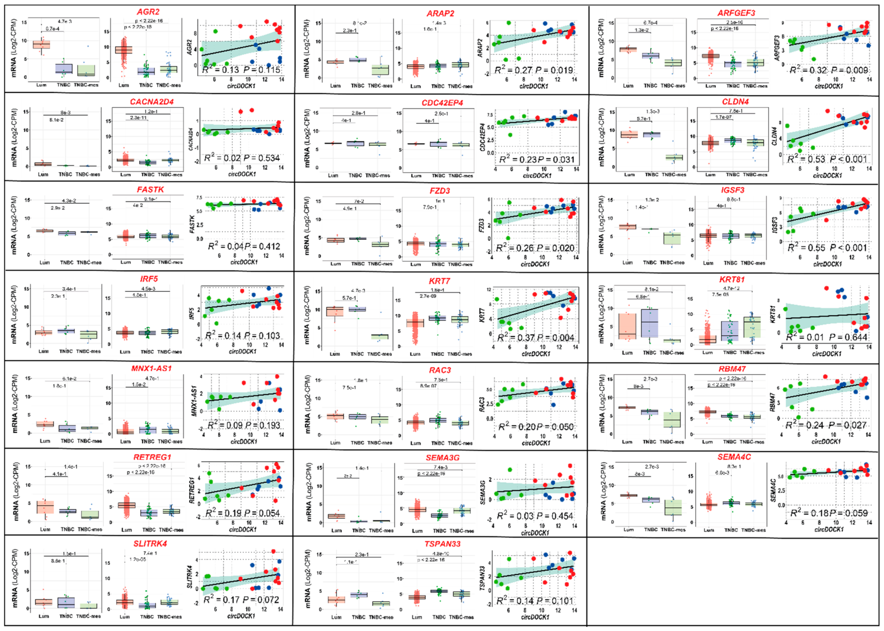 Cancers 13 05325 g004