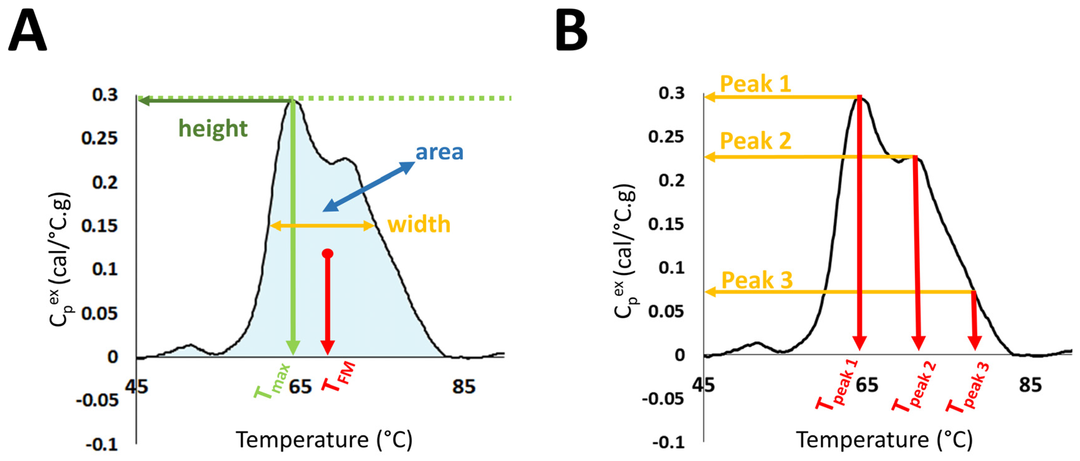 Cancers 13 05326 g001
