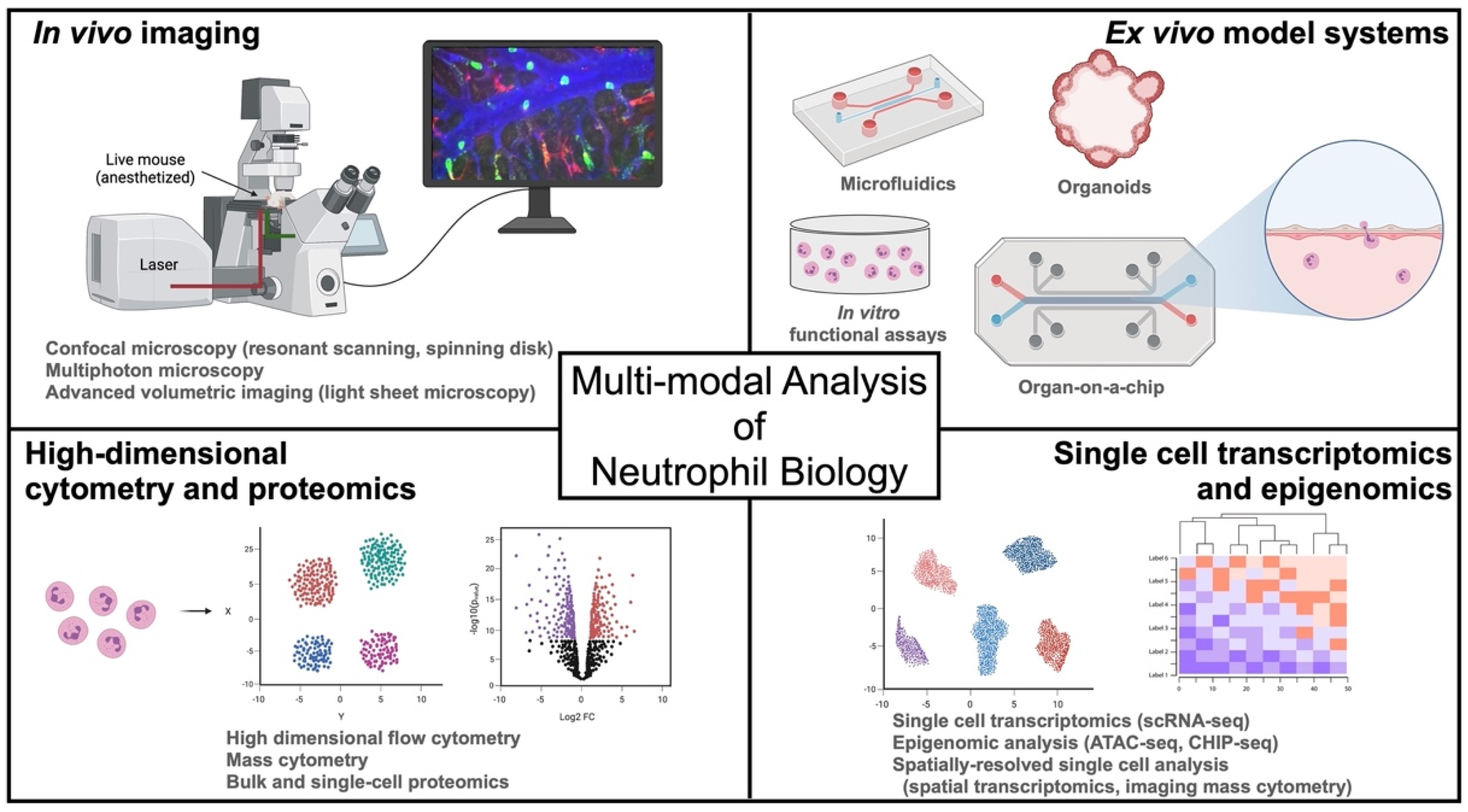 Cancers 13 05331 g001