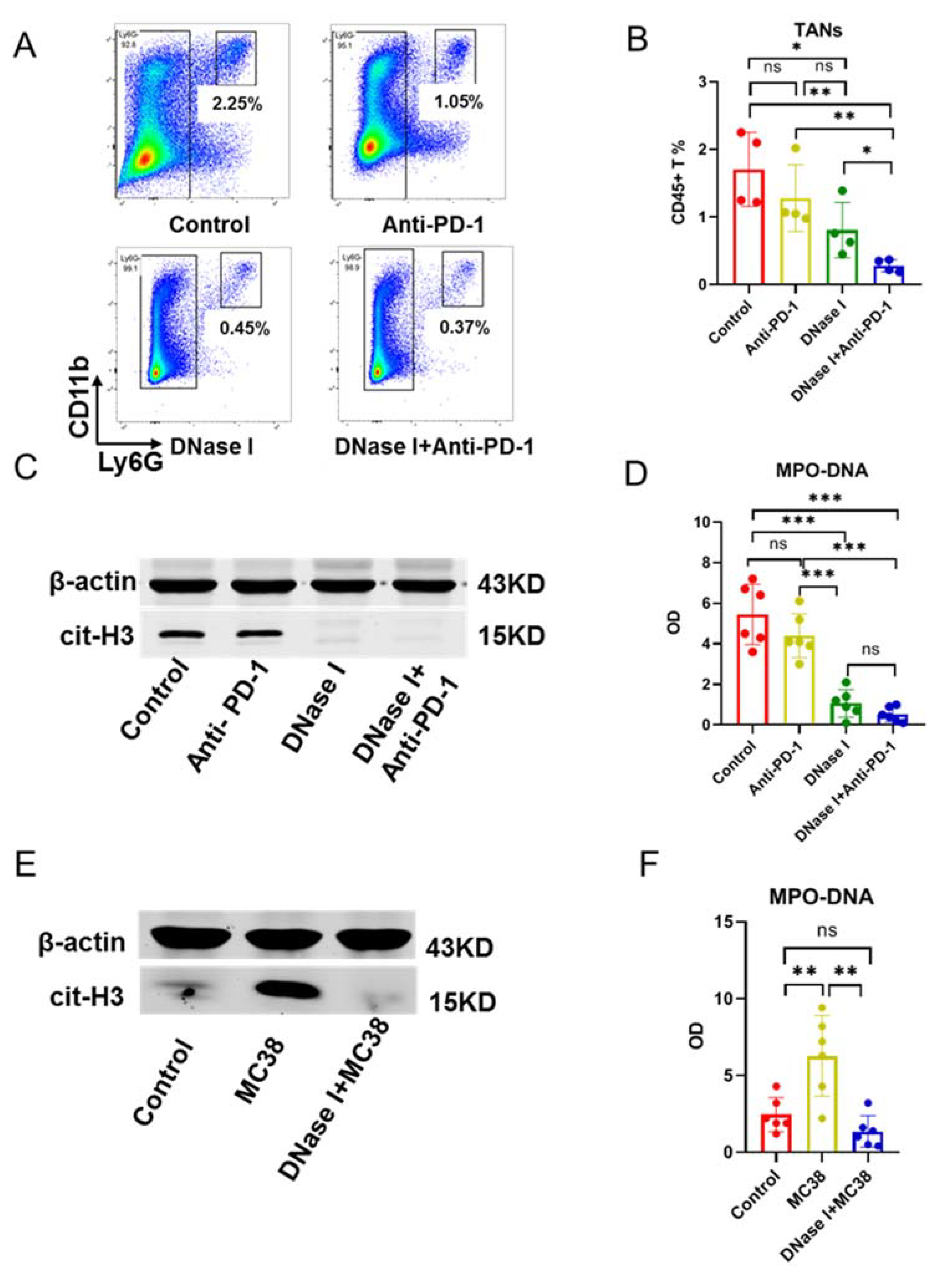 Cancers 13 05333 g002