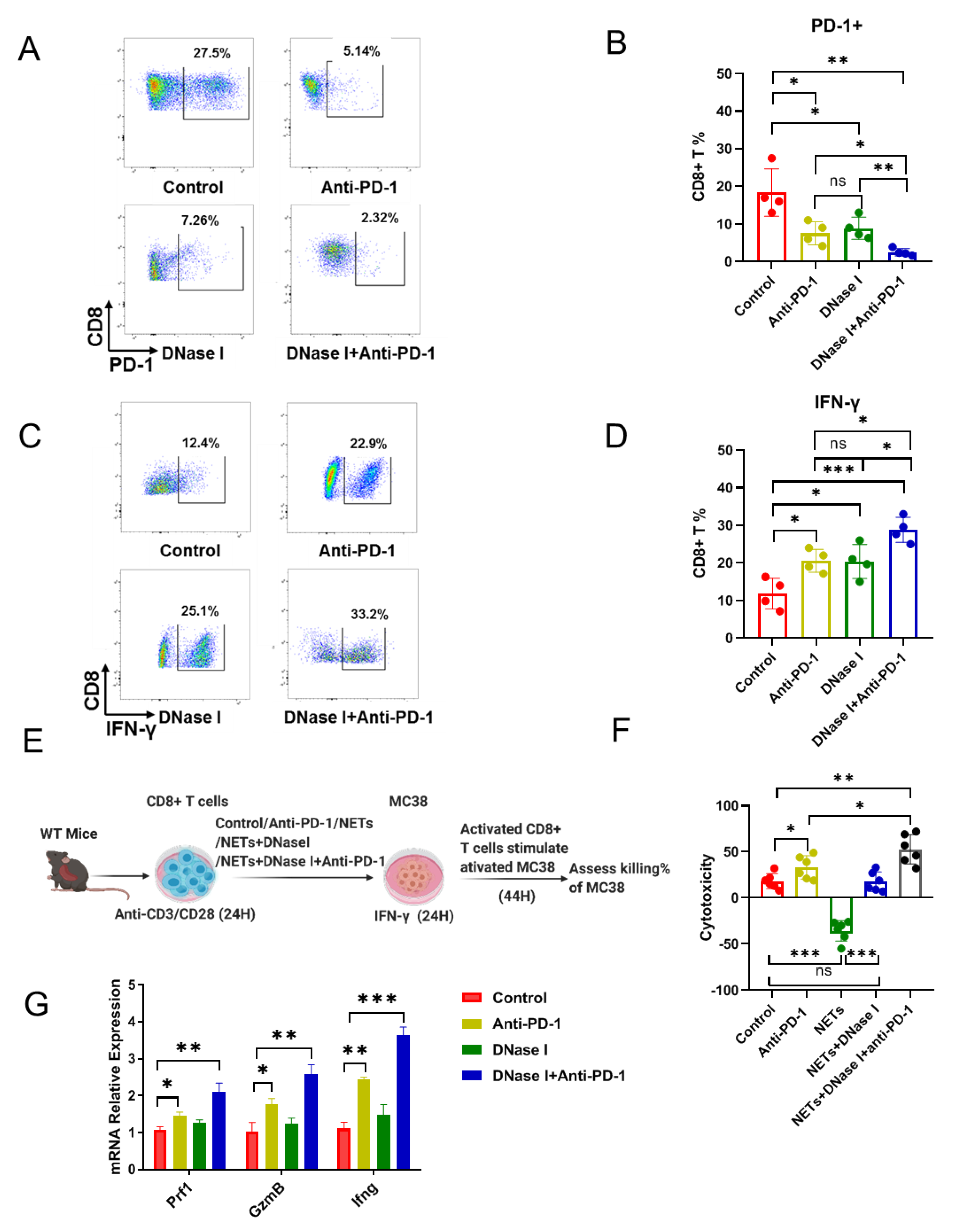 Cancers 13 05333 g004