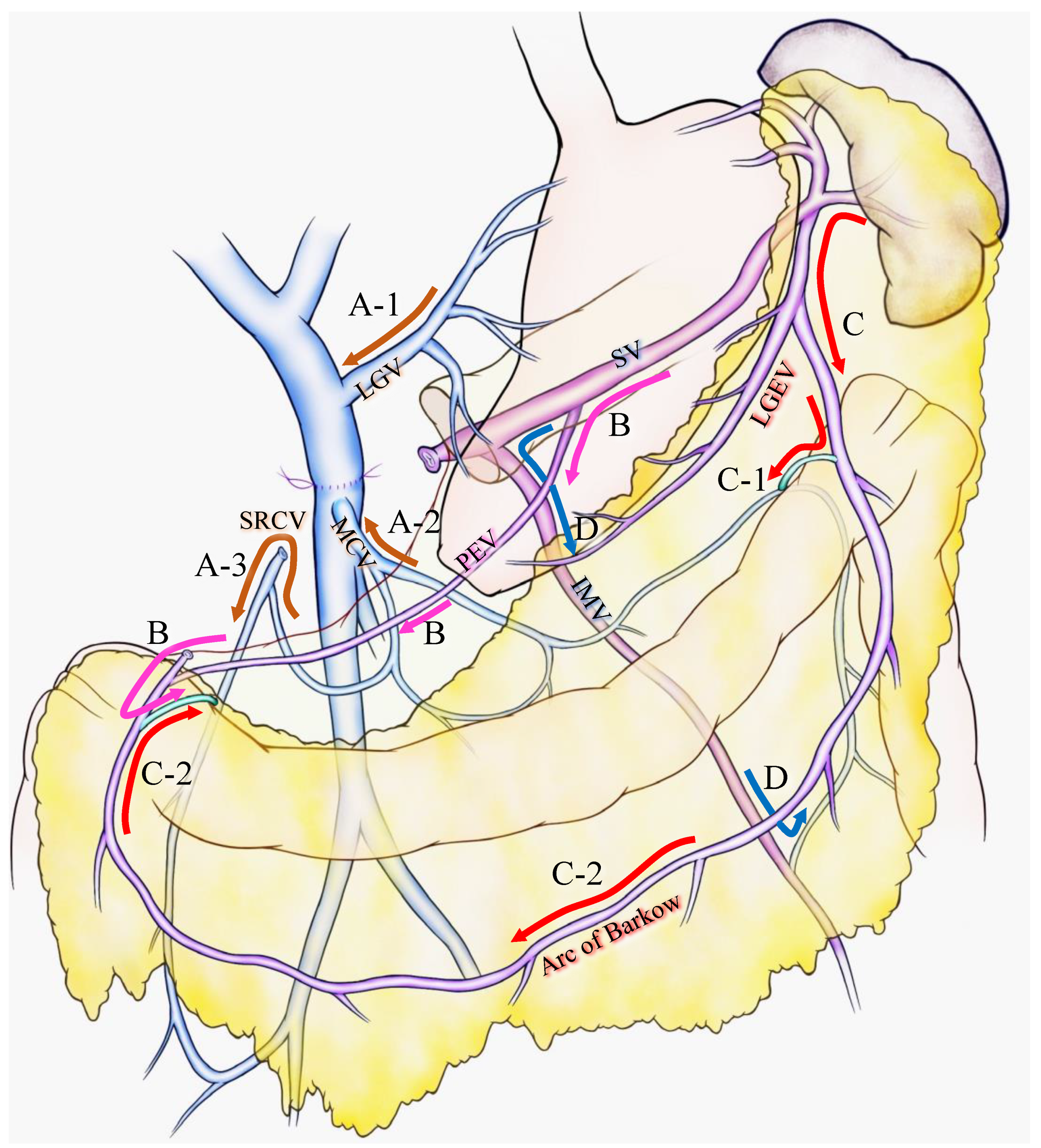 Cancers 13 05334 g001
