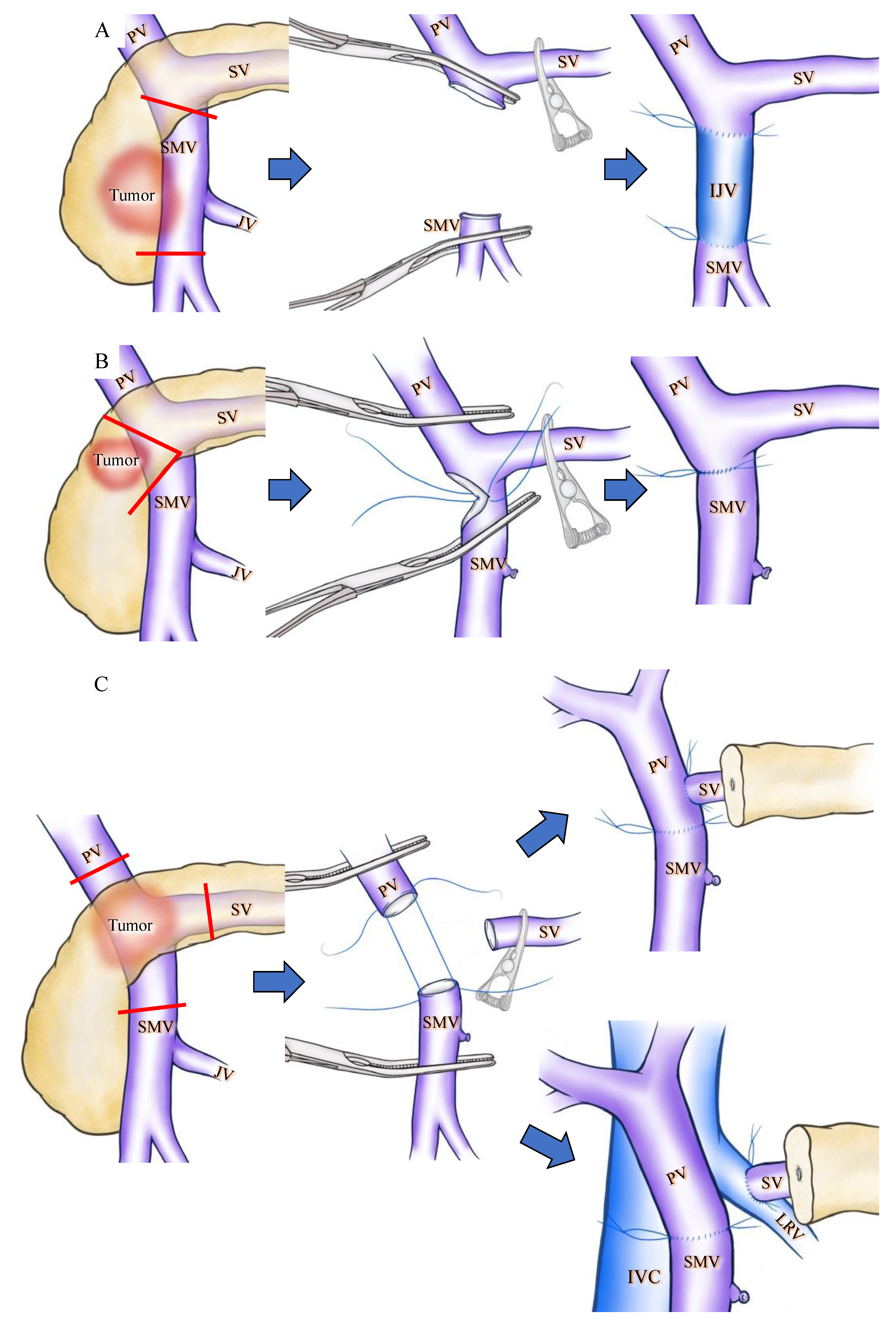 Cancers 13 05334 g002