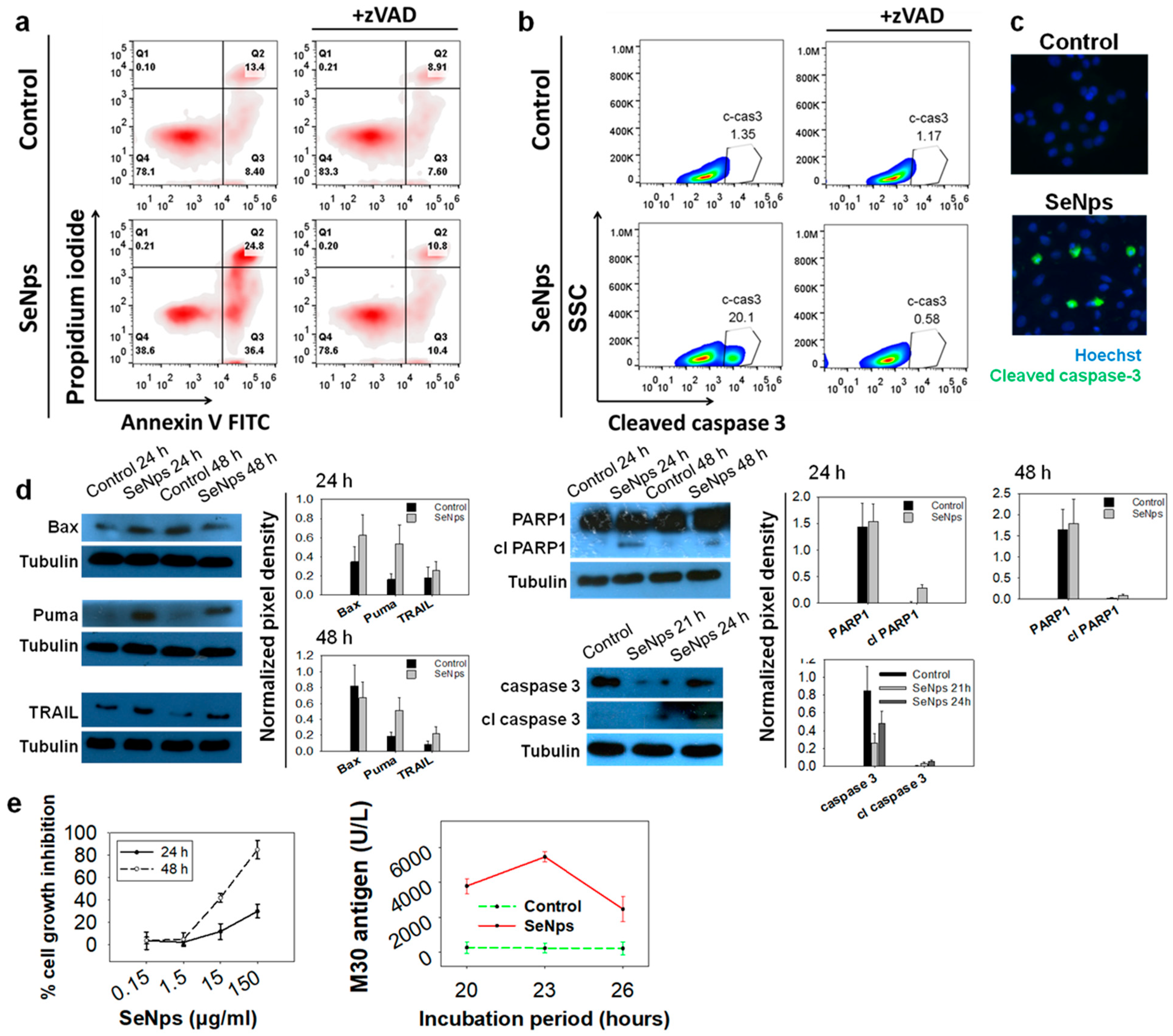 Cancers 13 05335 g002