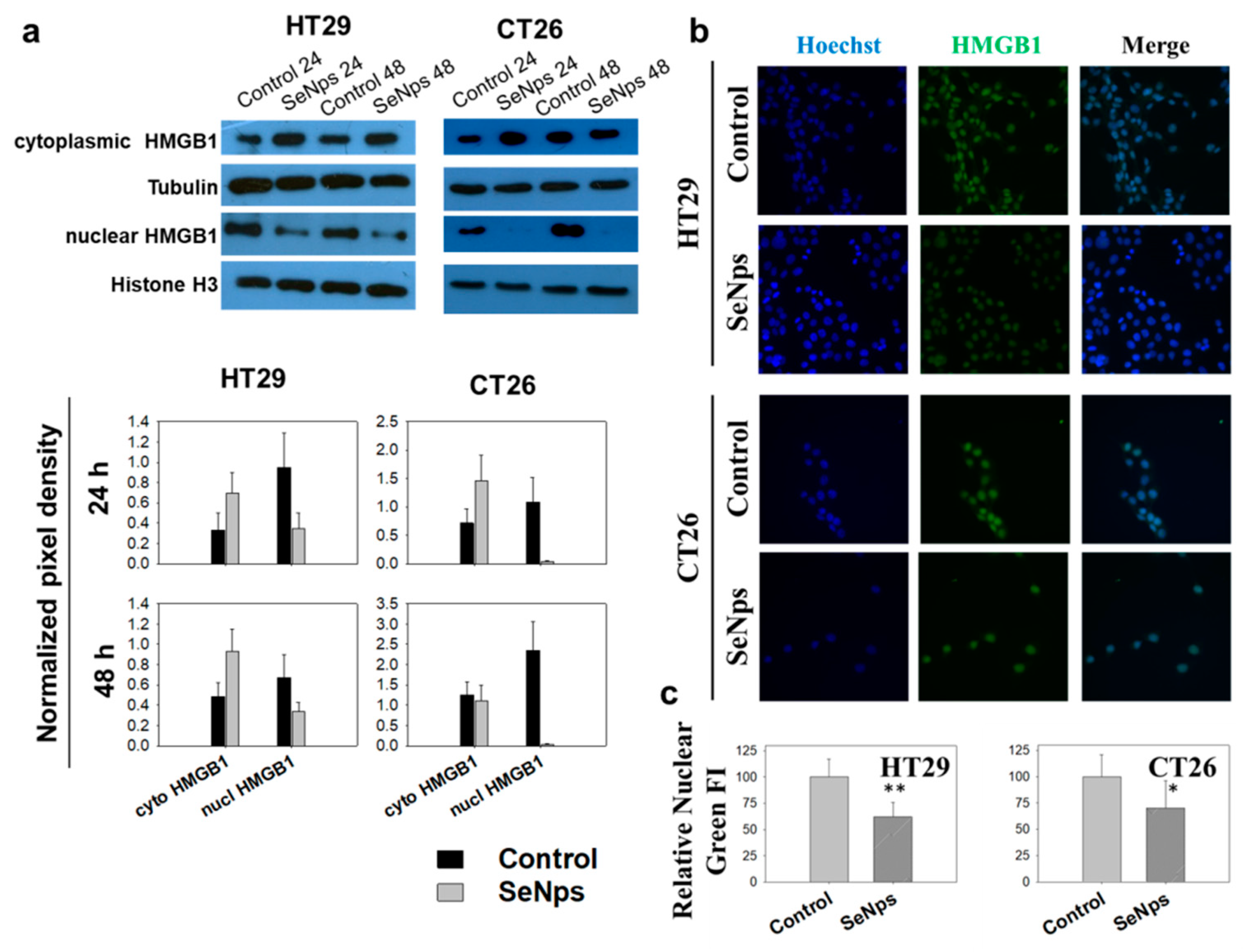 Cancers 13 05335 g004