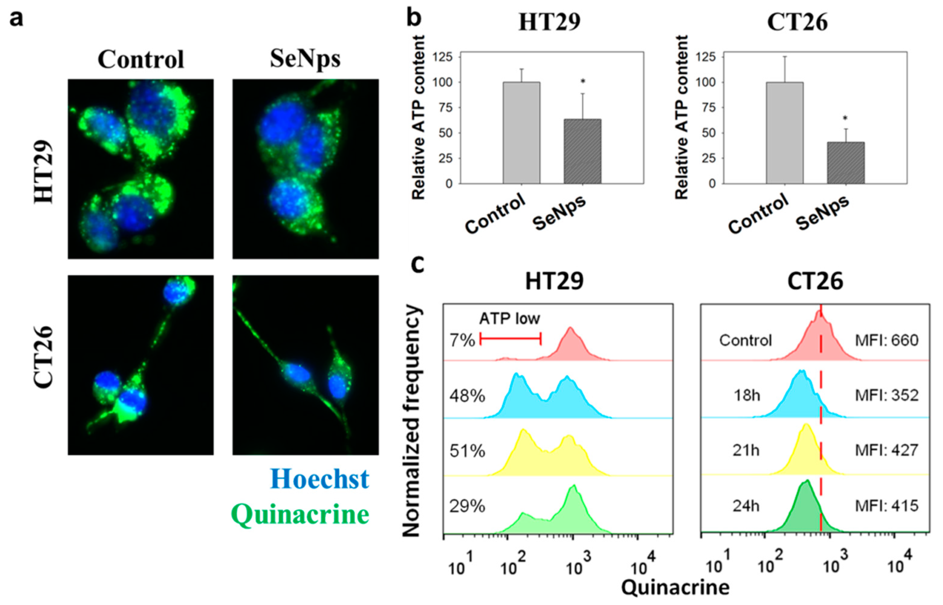 Cancers 13 05335 g006