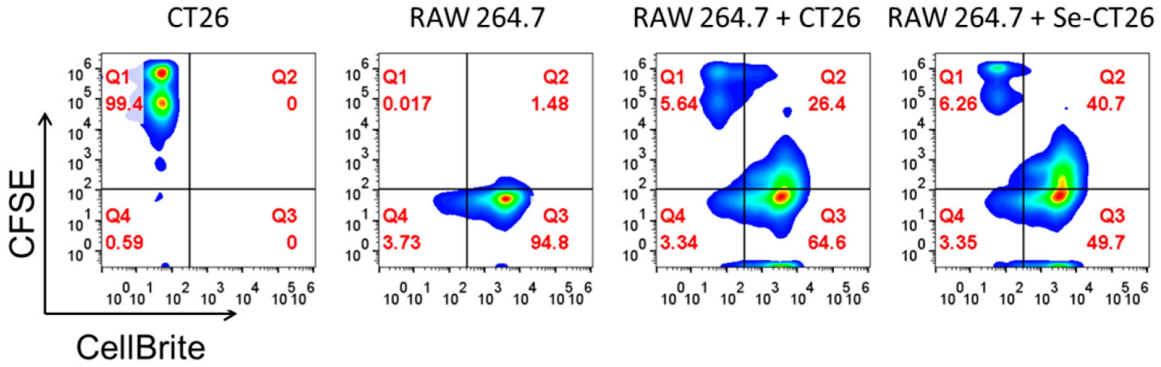 Cancers 13 05335 g008