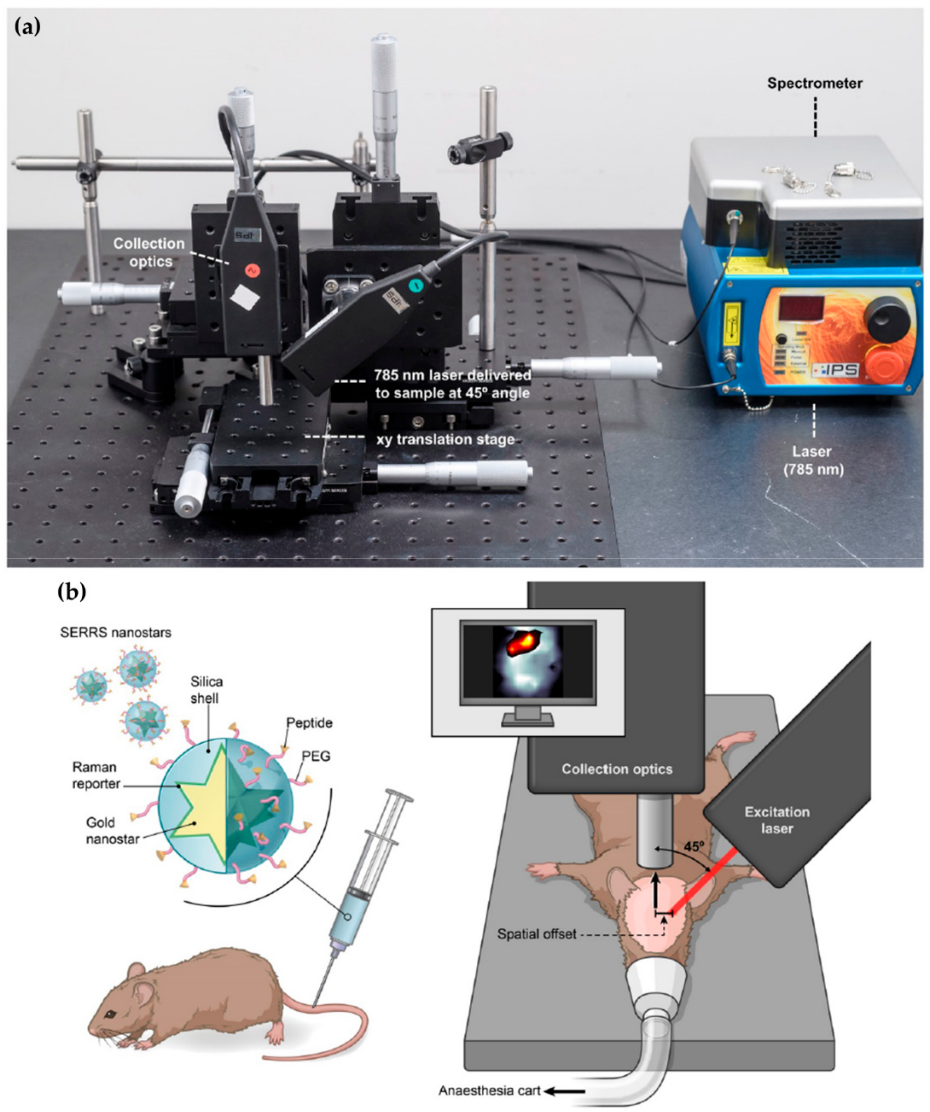 Cancers 13 05336 g003