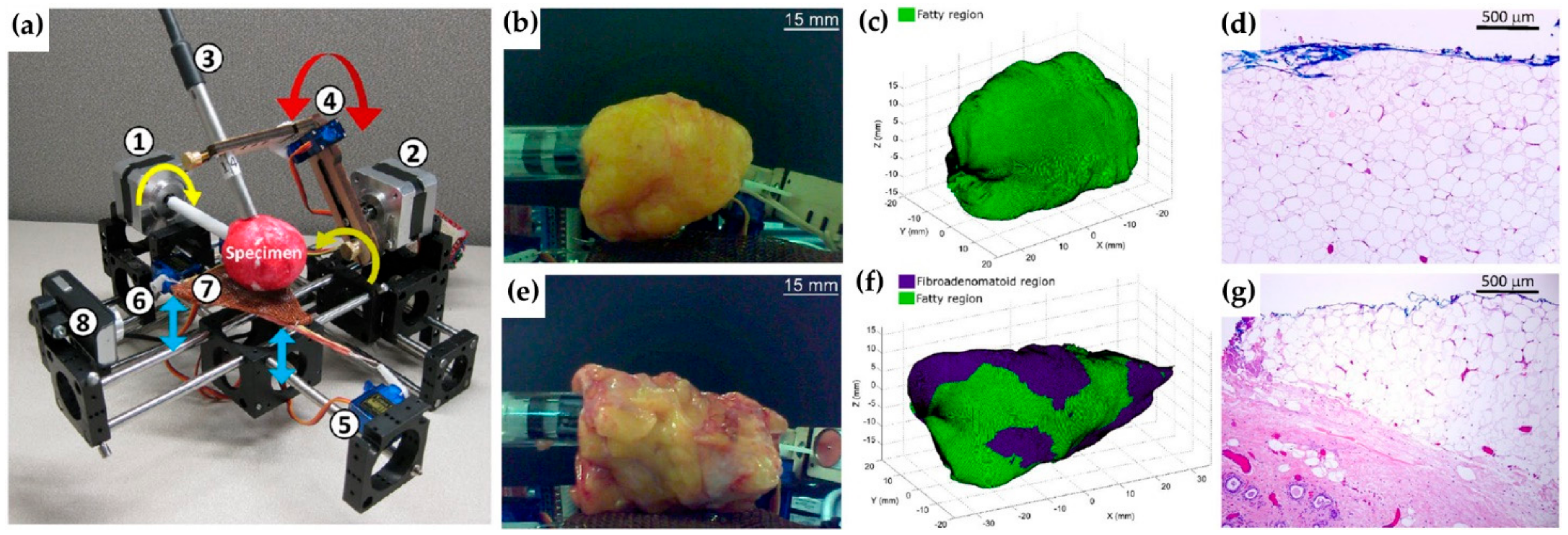 Cancers 13 05336 g006