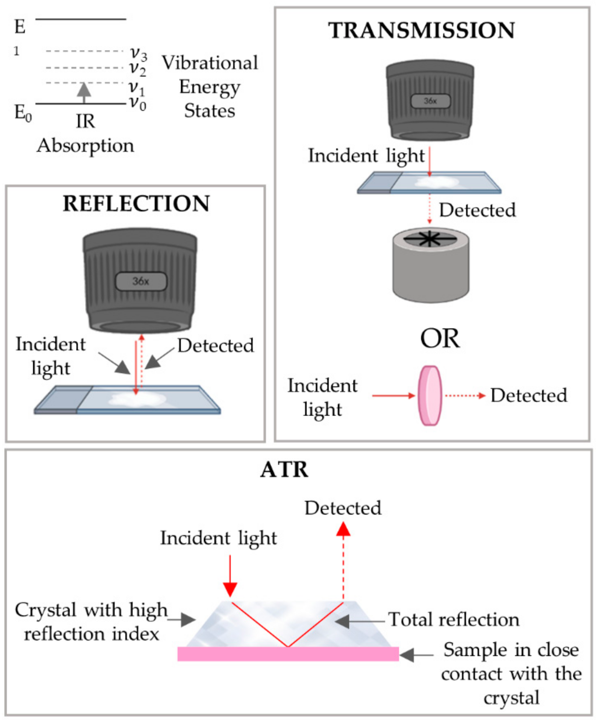 Cancers 13 05336 g009