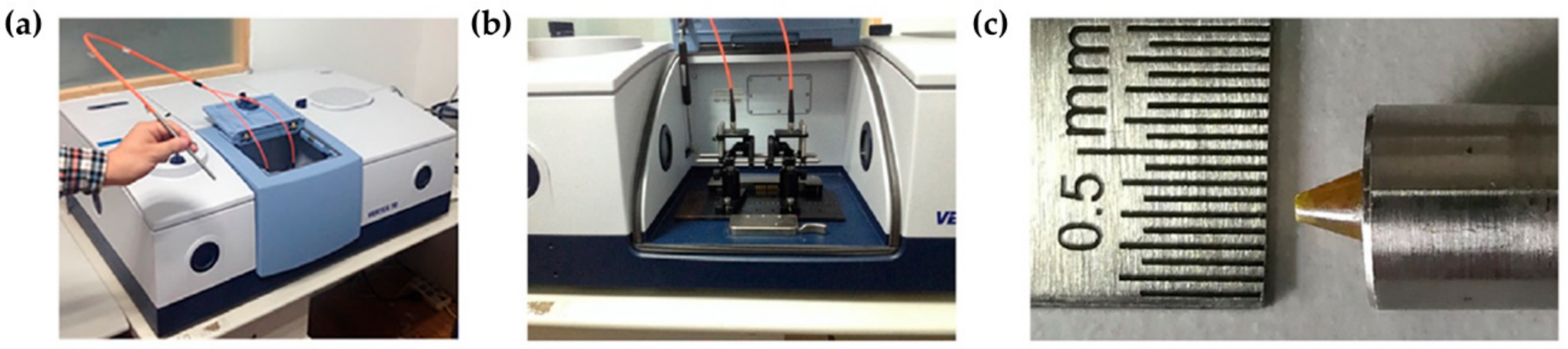 Cancers 13 05336 g010