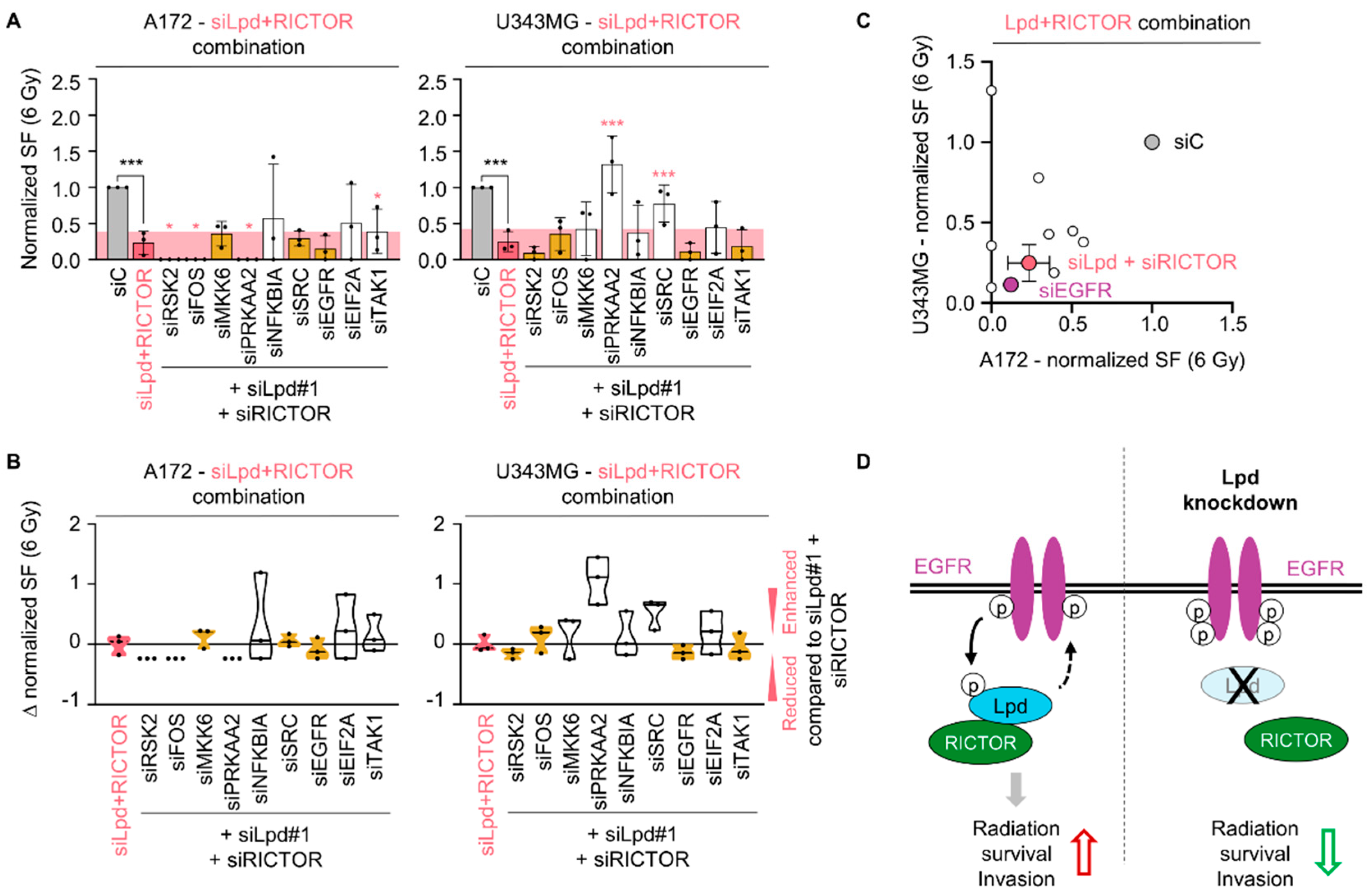 Cancers 13 05337 g007