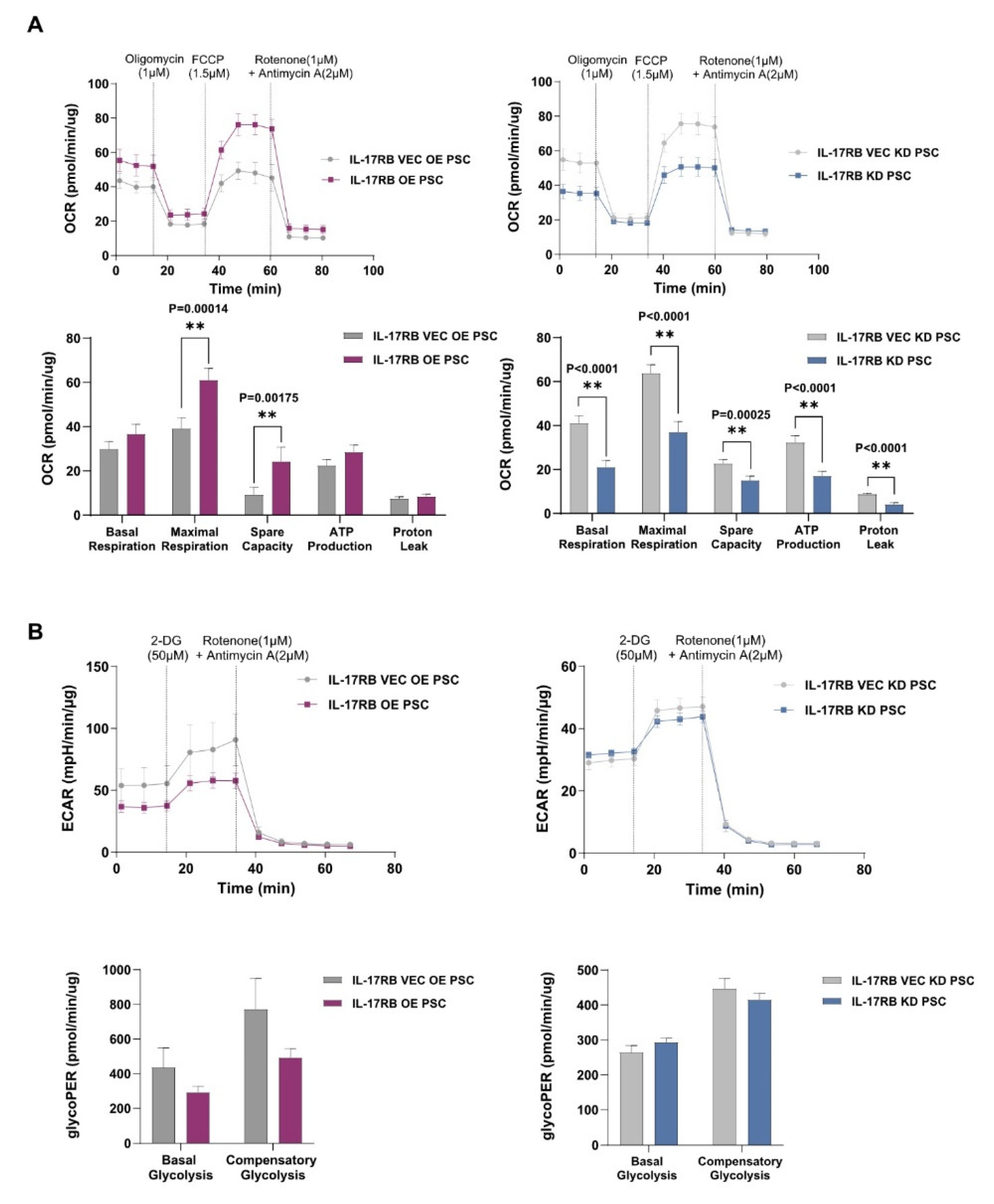 Cancers 13 05338 g003