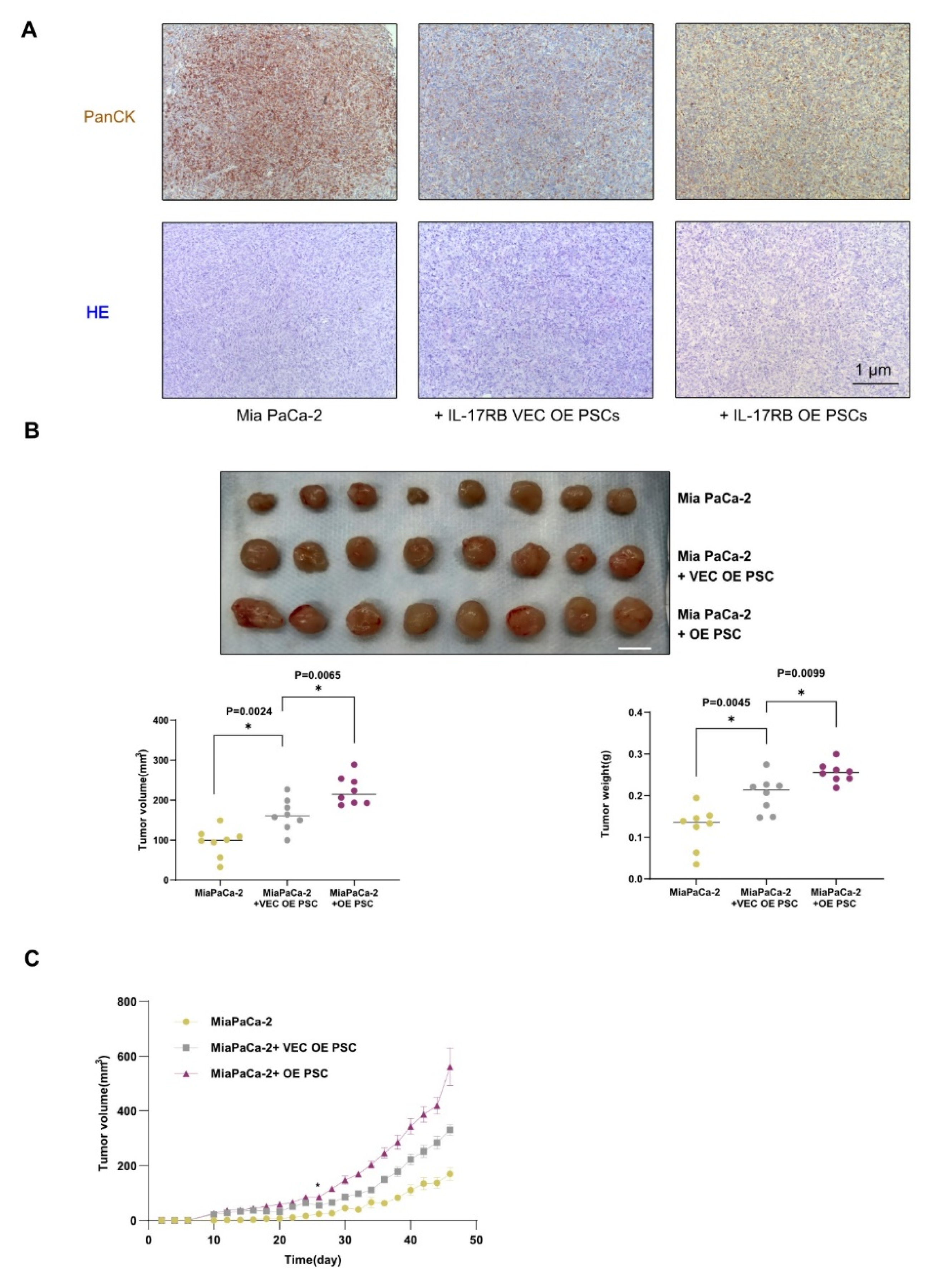 Cancers 13 05338 g004a