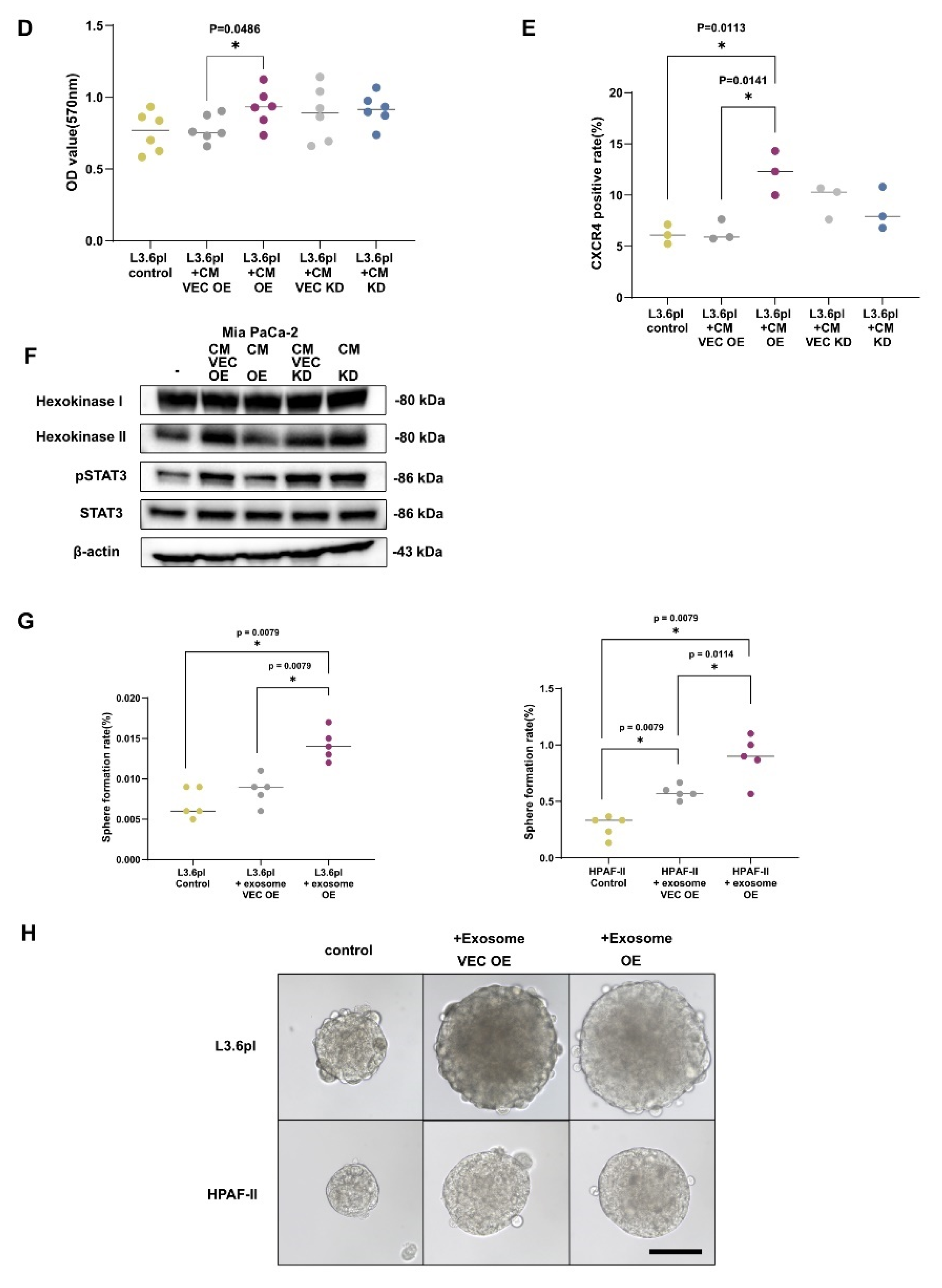 Cancers 13 05338 g004b