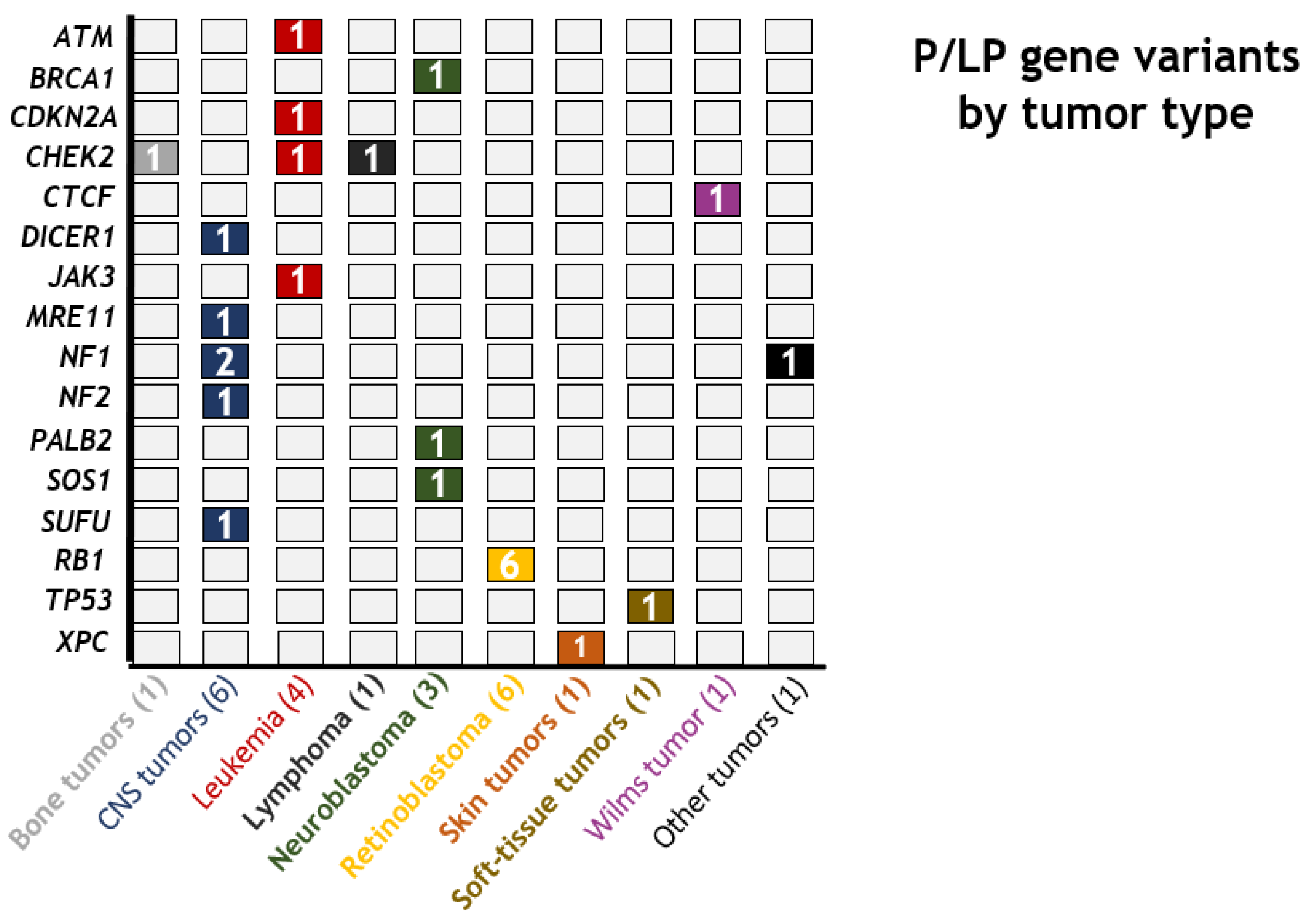Cancers 13 05339 g003