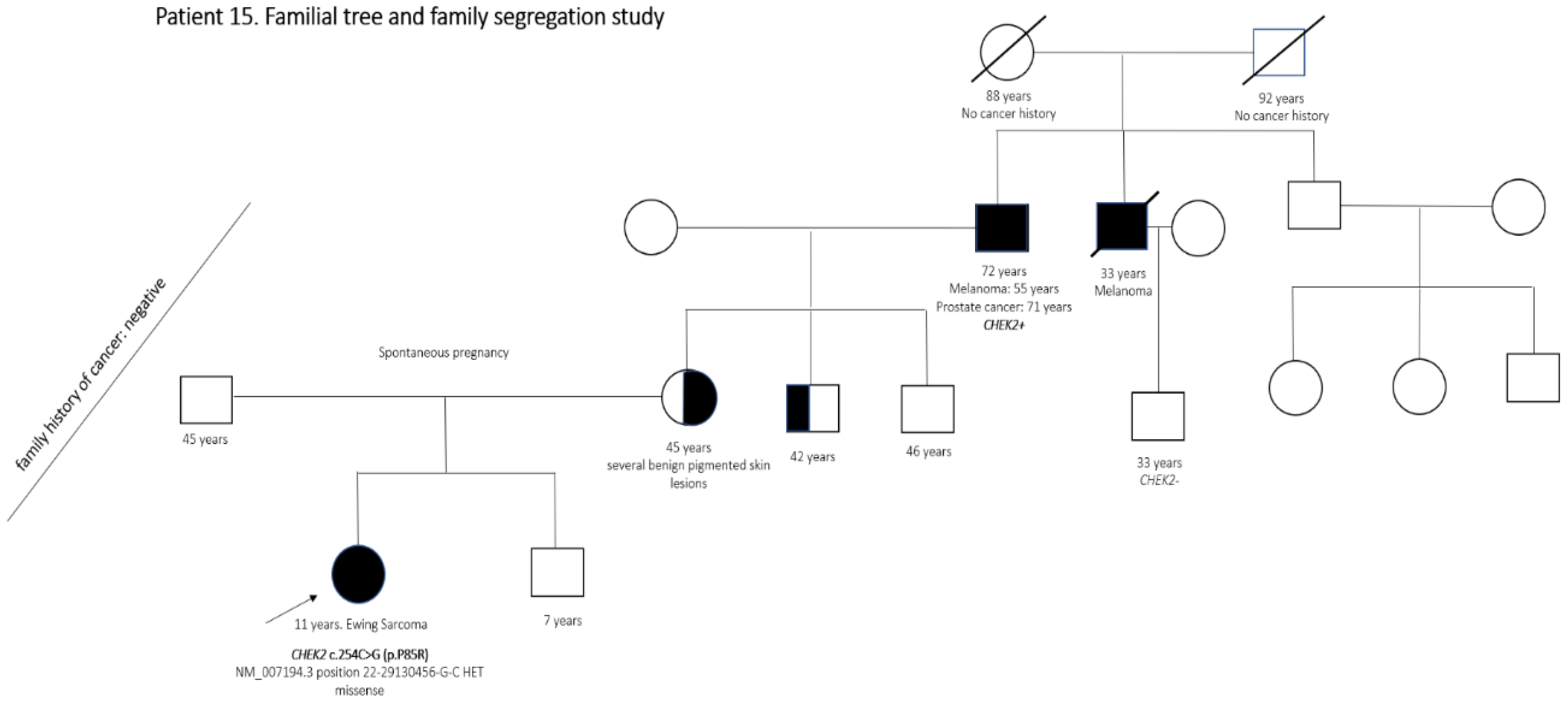 Cancers 13 05339 g004