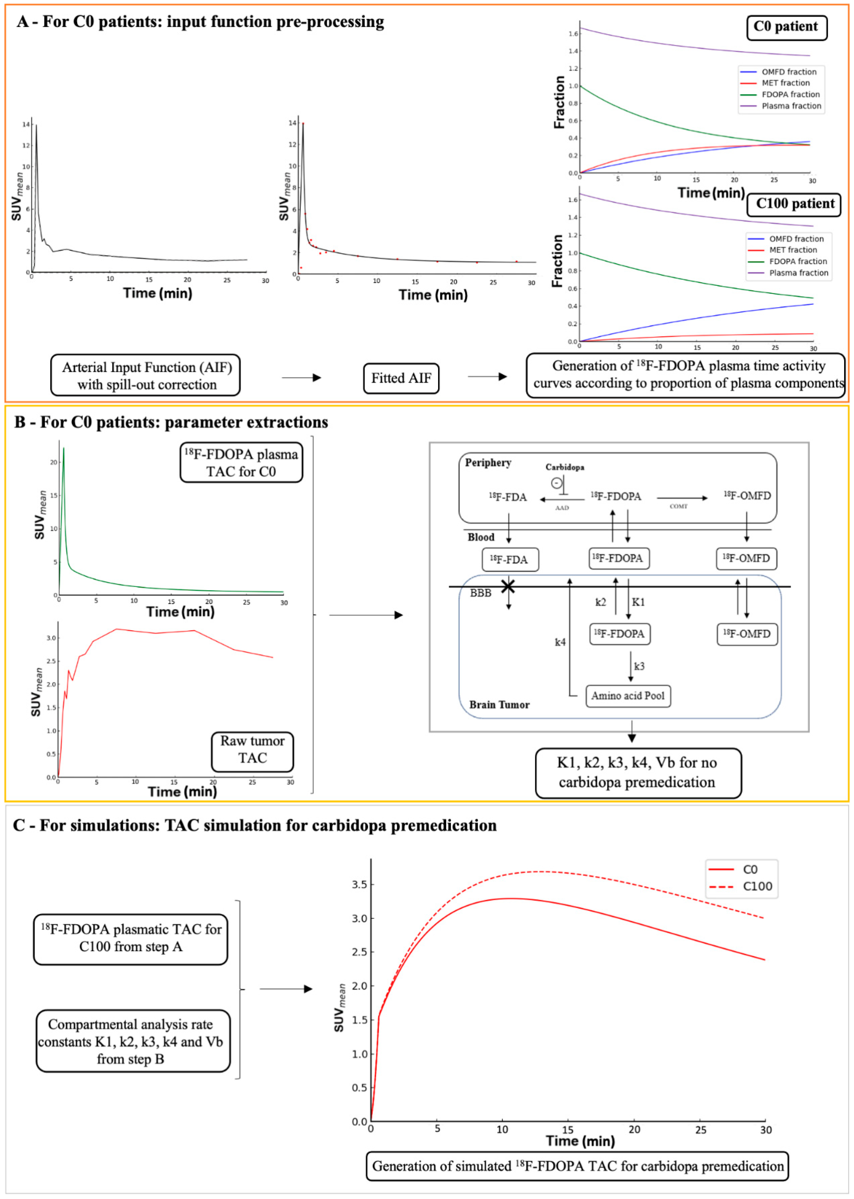 Cancers 13 05340 g001
