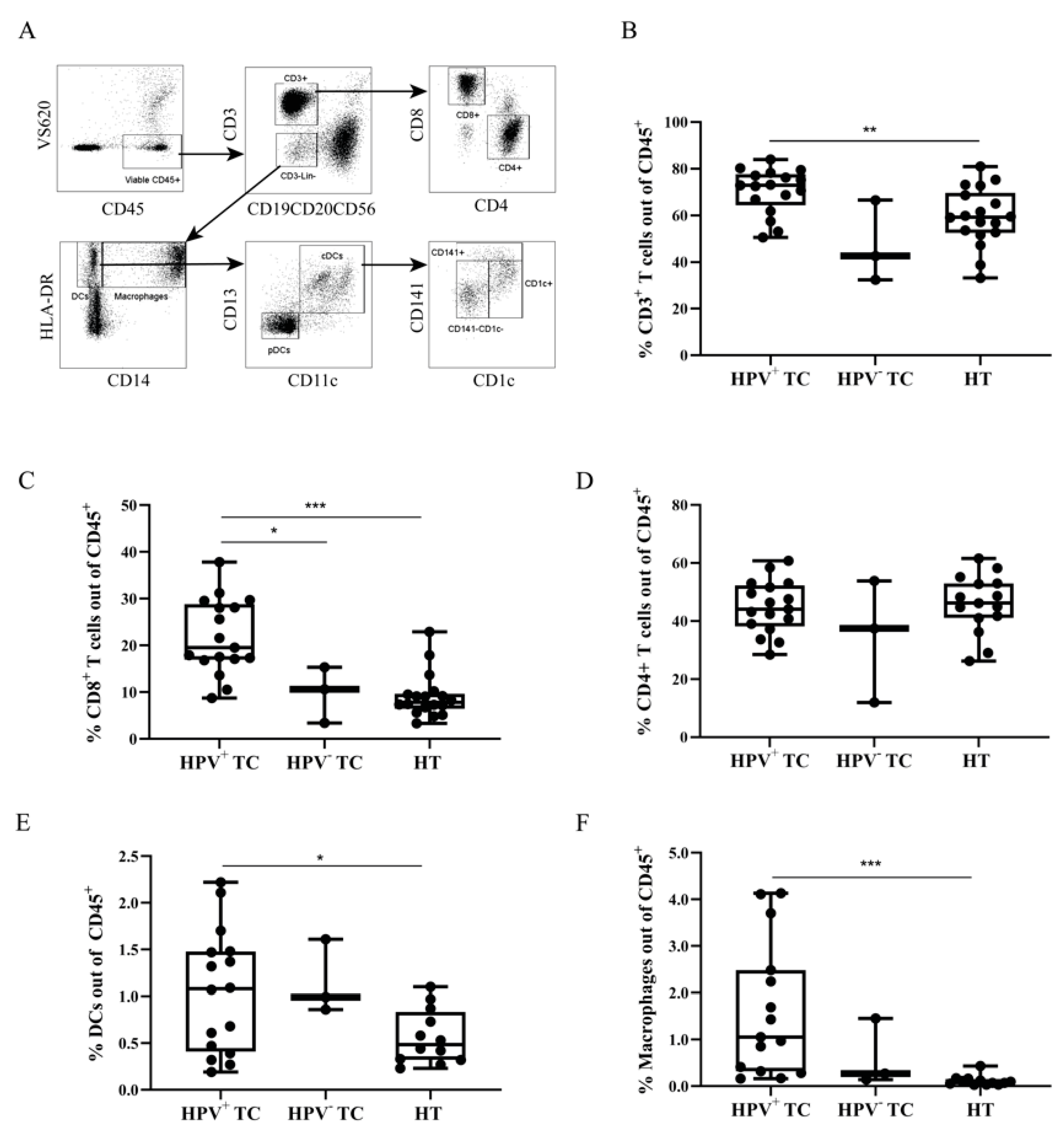 Cancers 13 05341 g002