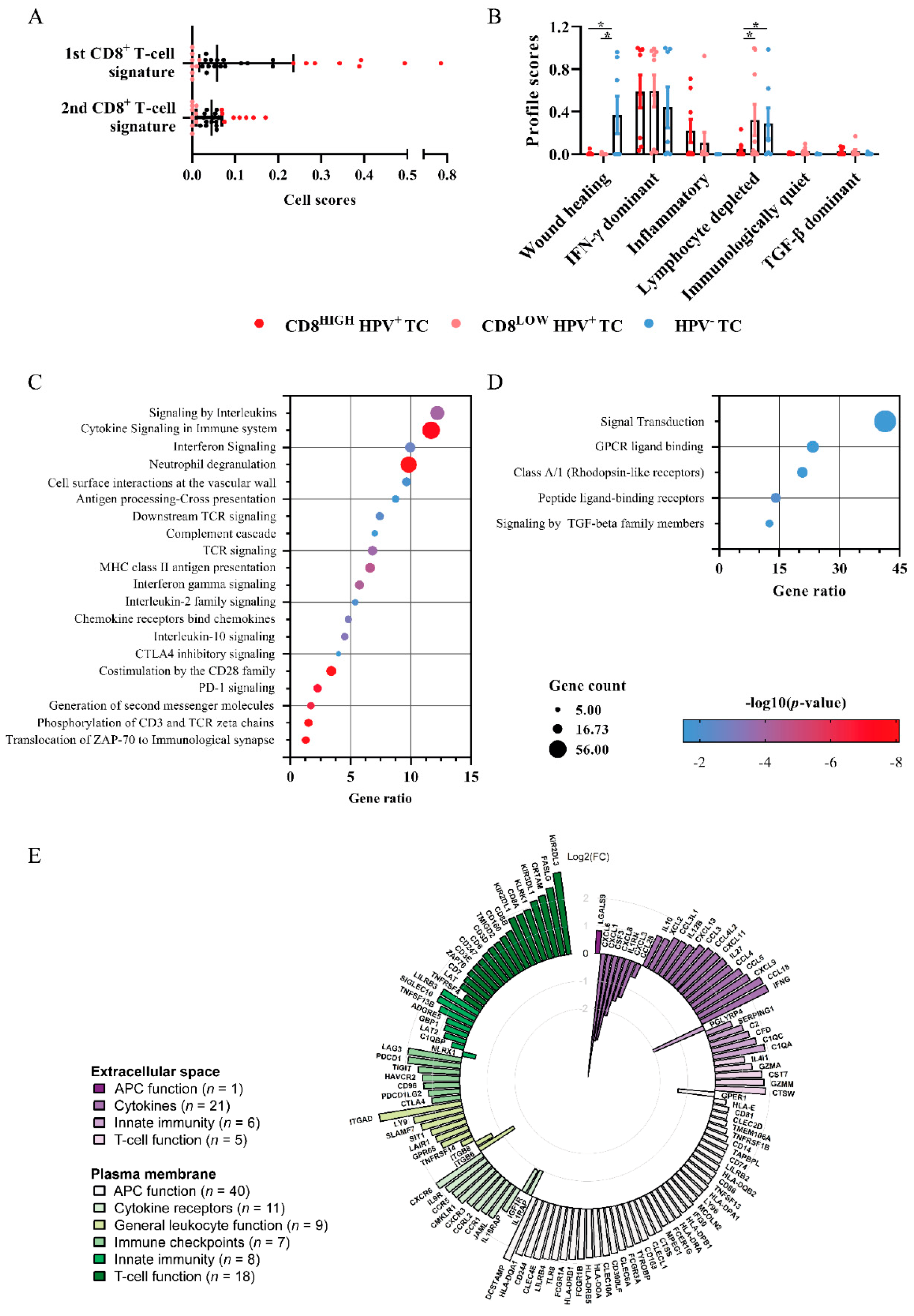 Cancers 13 05341 g004