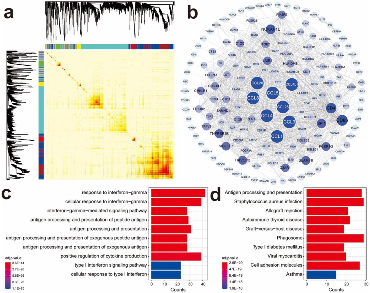Cancers 13 05342 g001