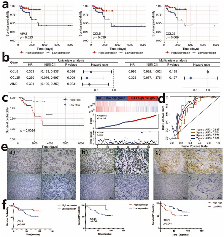 Cancers 13 05342 g003