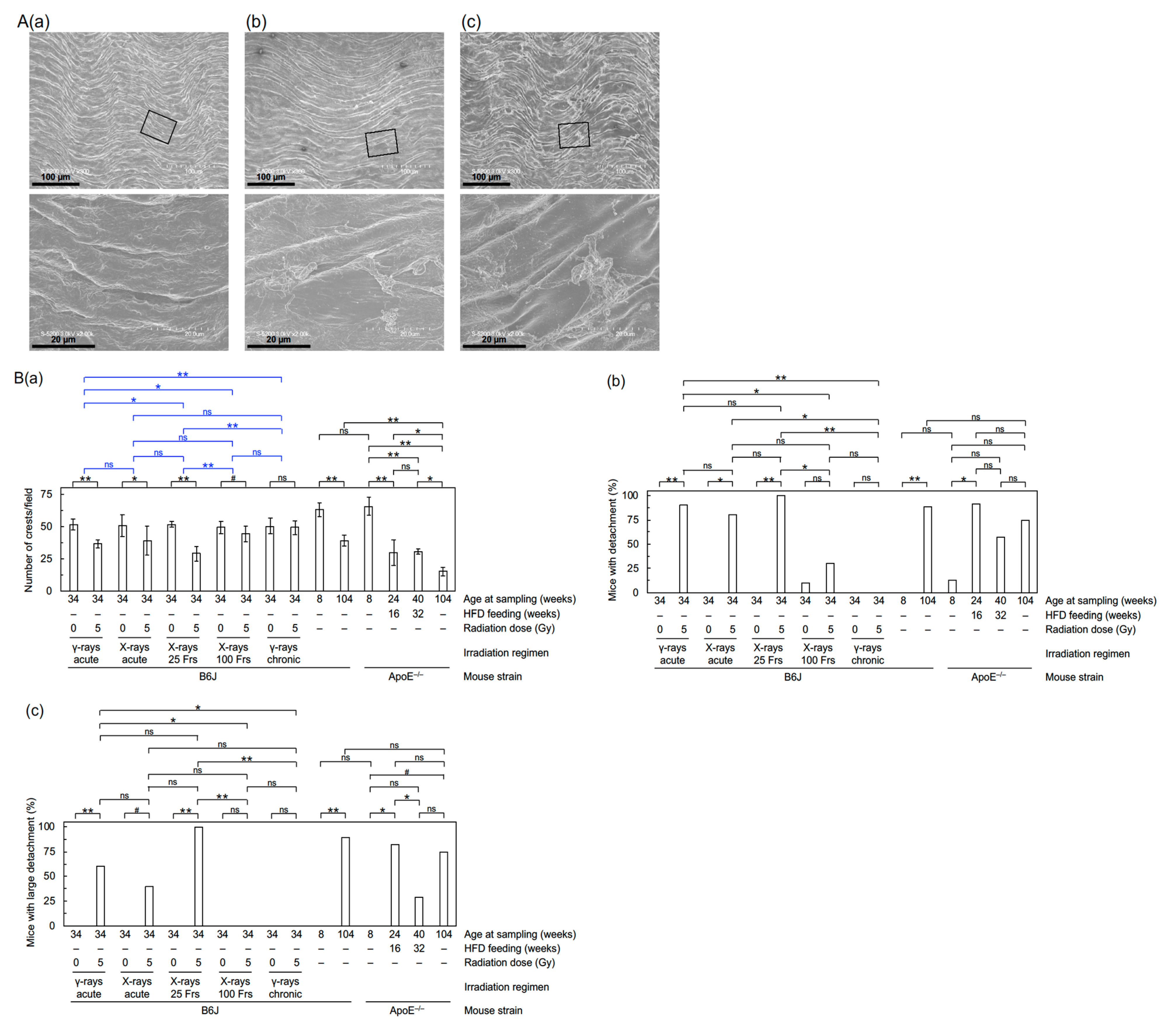 Cancers 13 05344 g001
