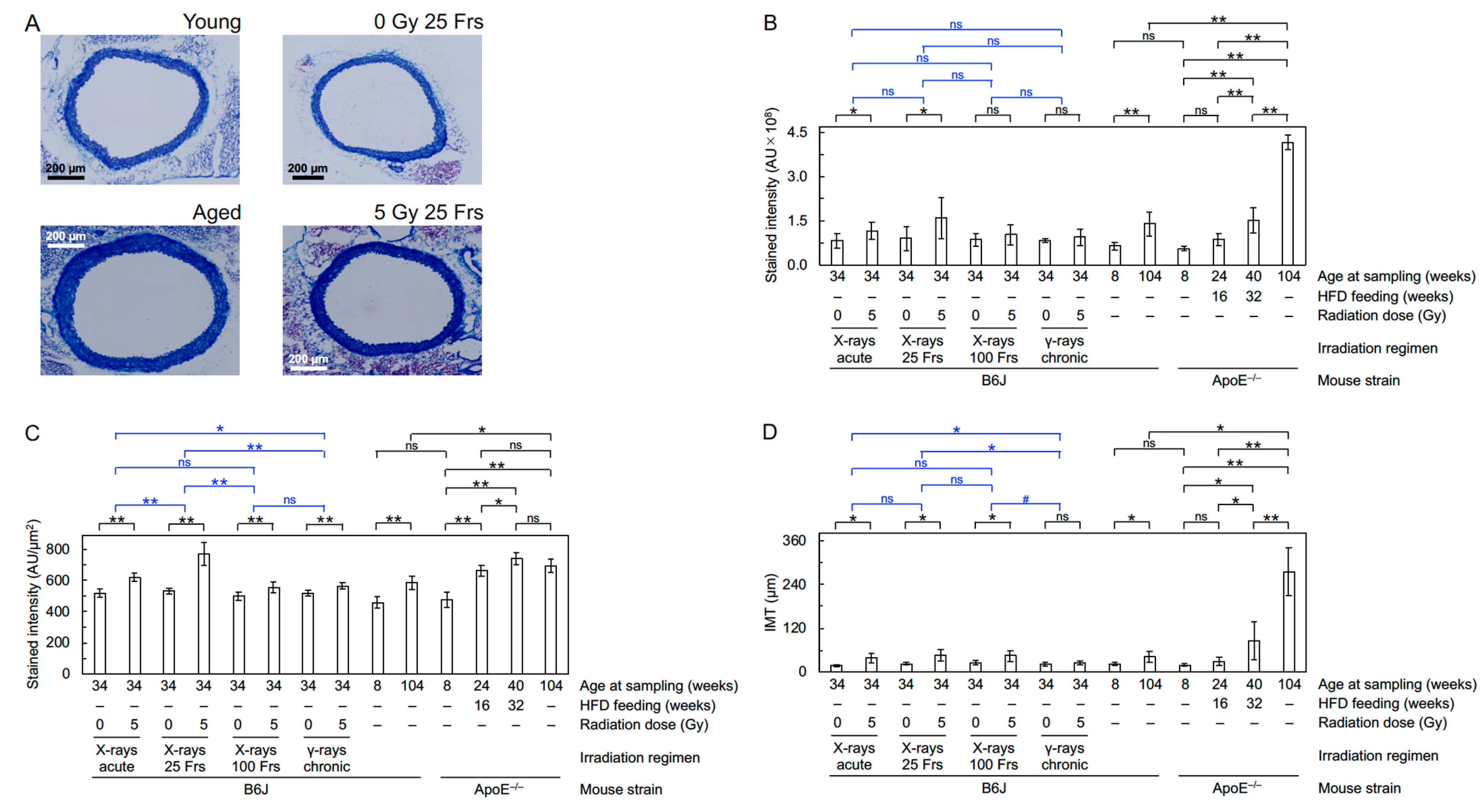 Cancers 13 05344 g004
