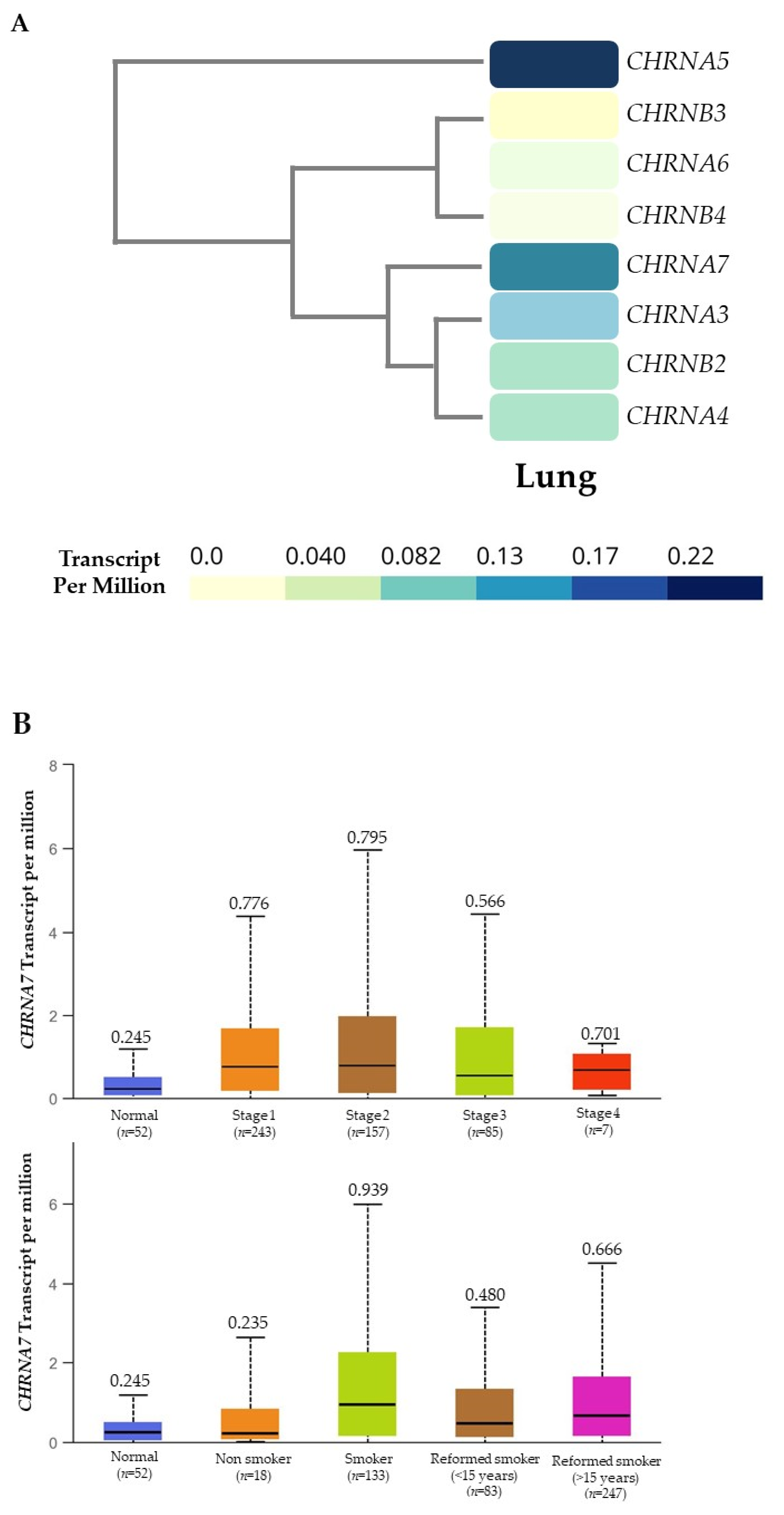 Cancers 13 05345 g001a