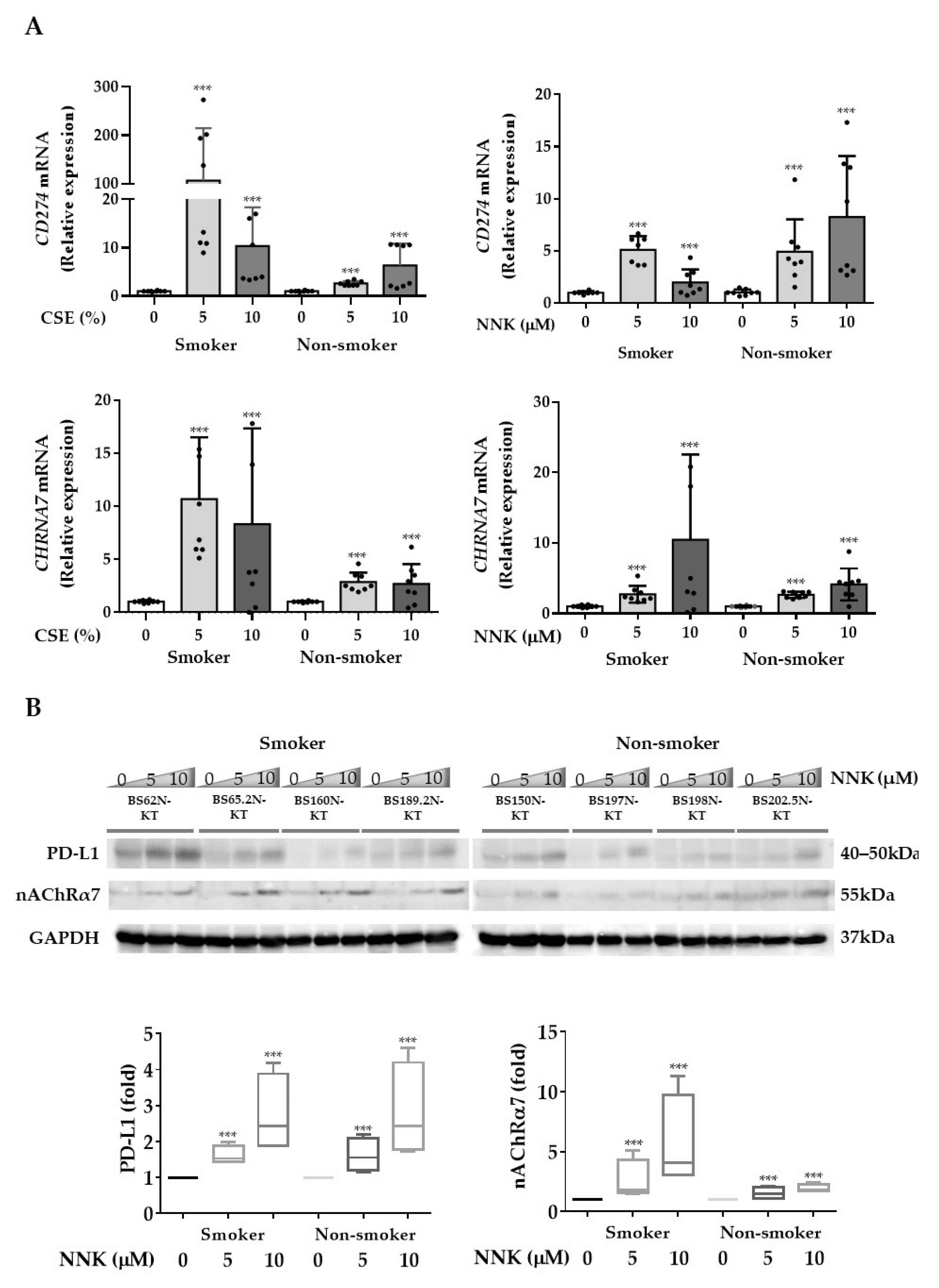Cancers 13 05345 g002a