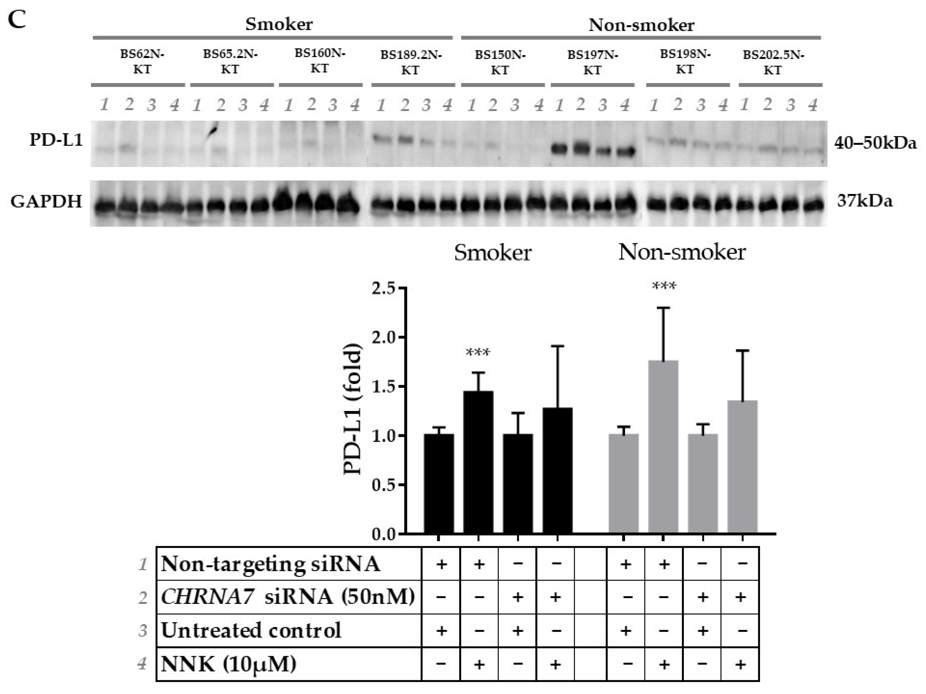 Cancers 13 05345 g003b