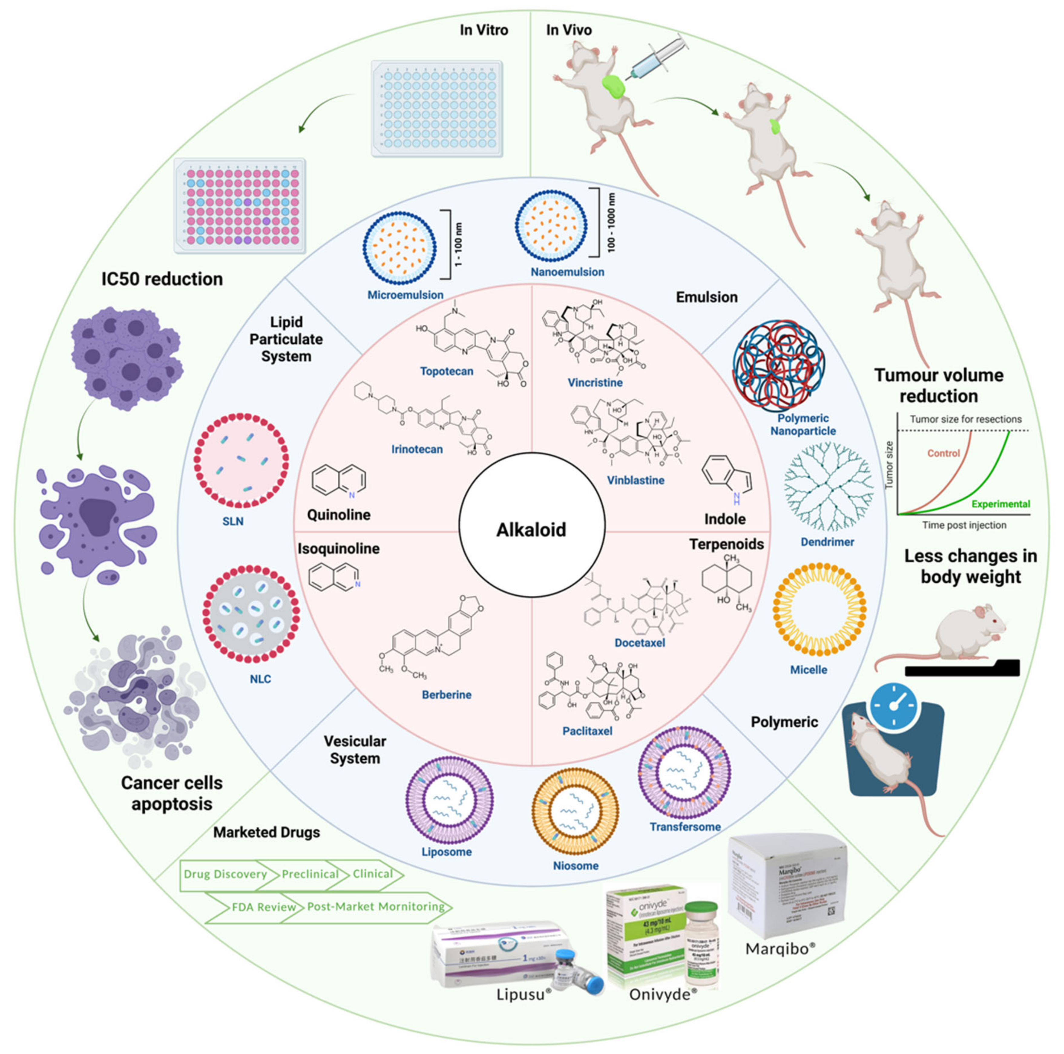 Cancers 13 05346 g003