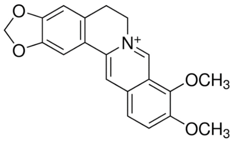 Cancers 13 05346 i031