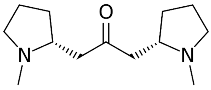 Cancers 13 05346 i040