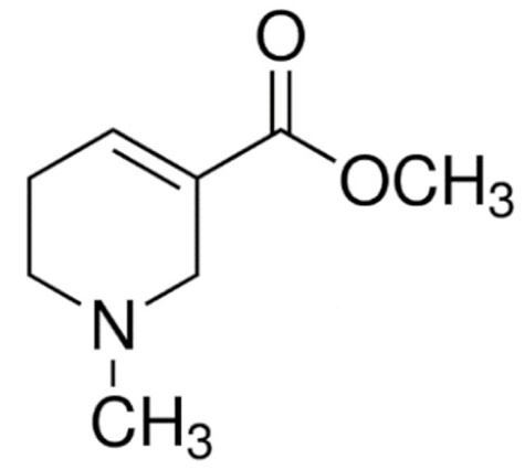 Cancers 13 05346 i043