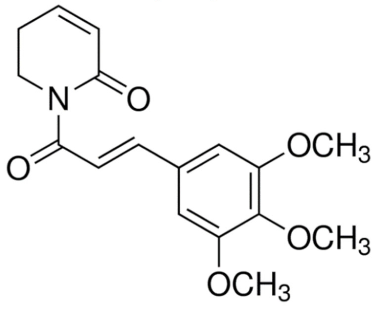 Cancers 13 05346 i049