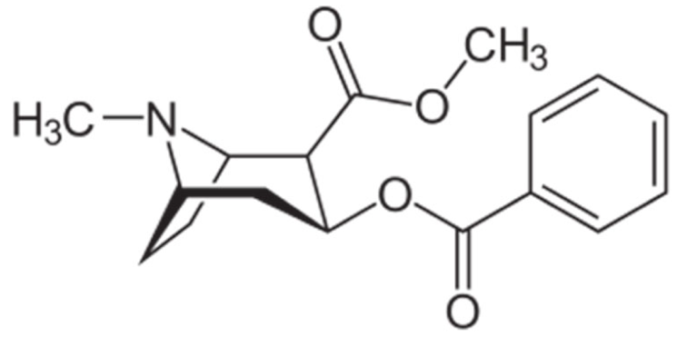 Cancers 13 05346 i053