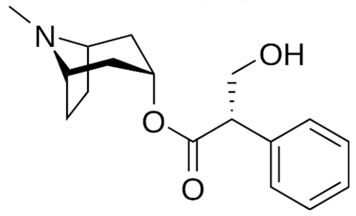 Cancers 13 05346 i054