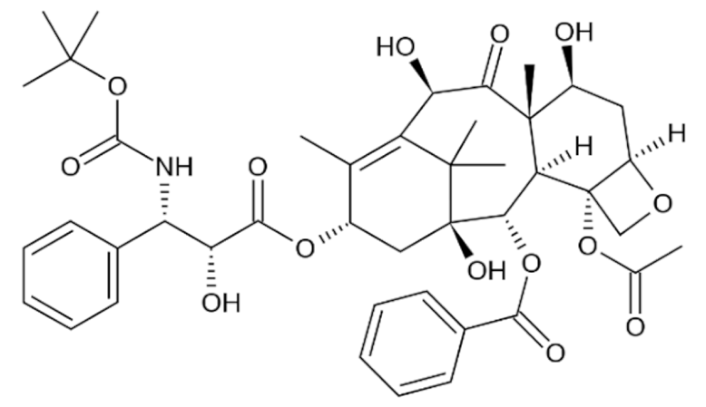Cancers 13 05346 i064
