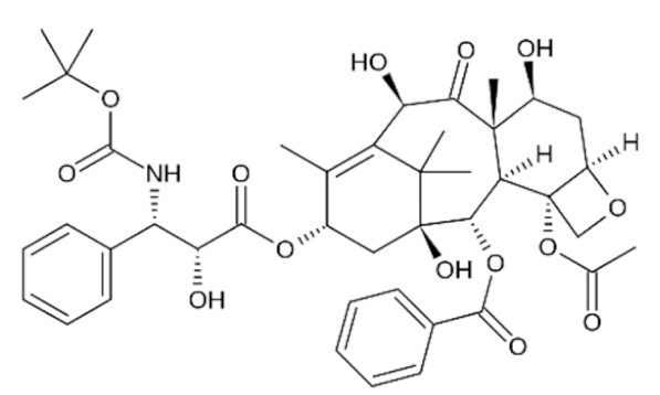 Cancers 13 05346 i077