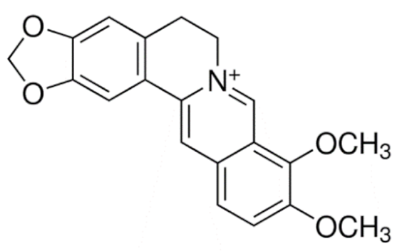 Cancers 13 05346 i084