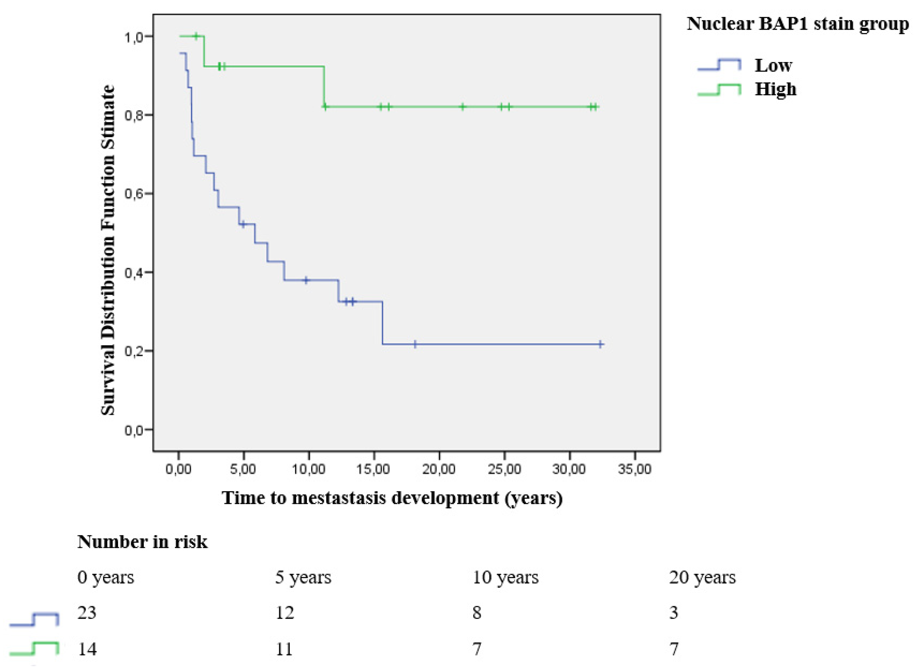 Cancers 13 05347 g006