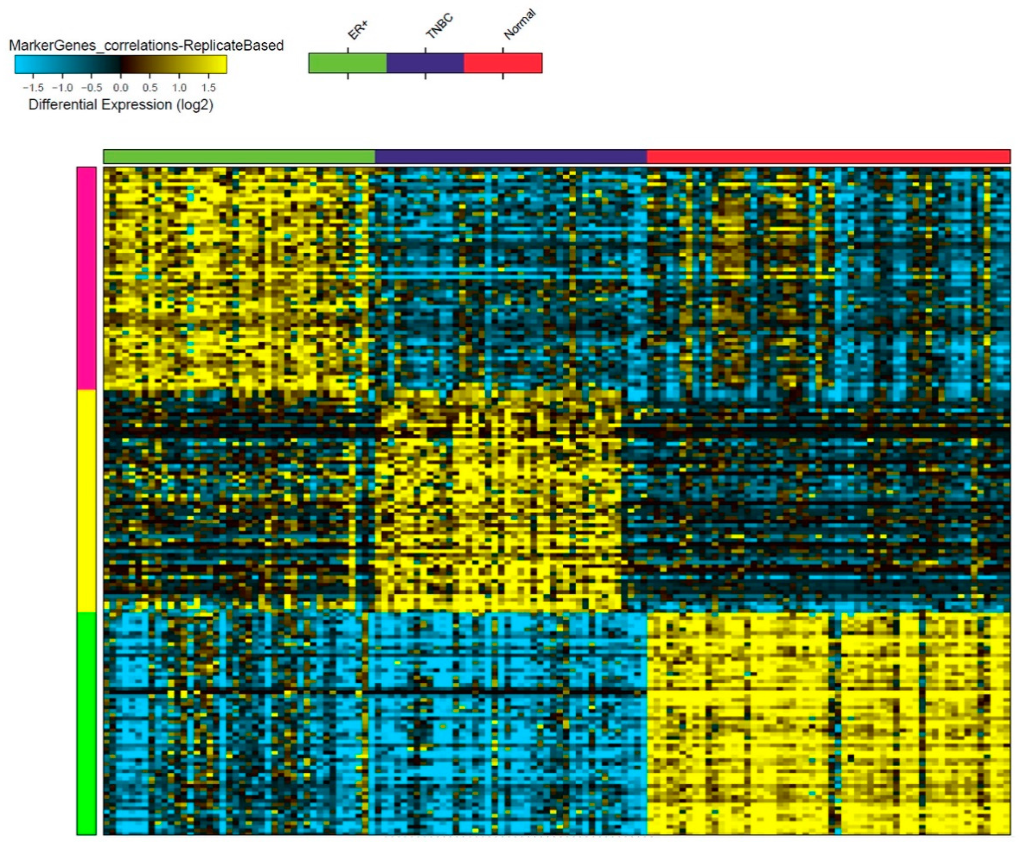 Cancers 13 05350 g001