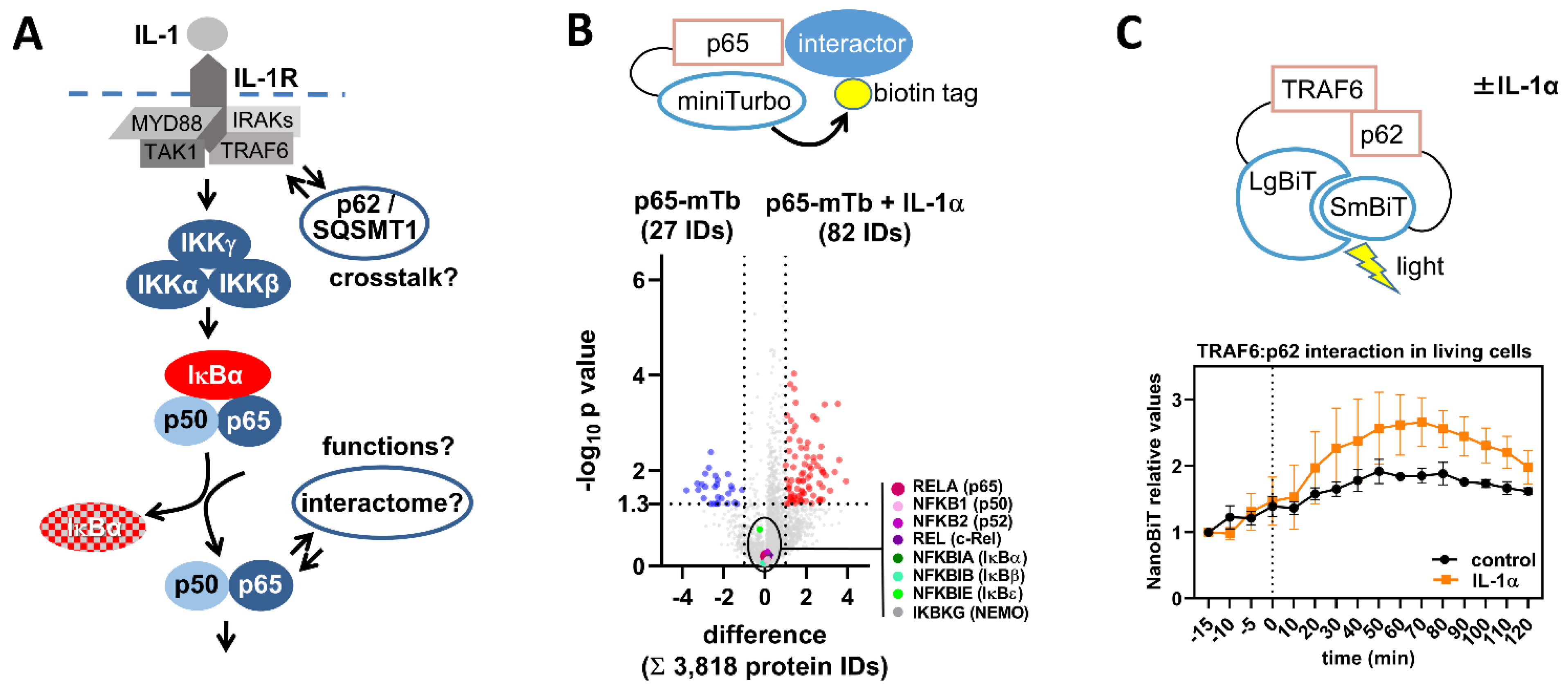 Cancers 13 05351 g005