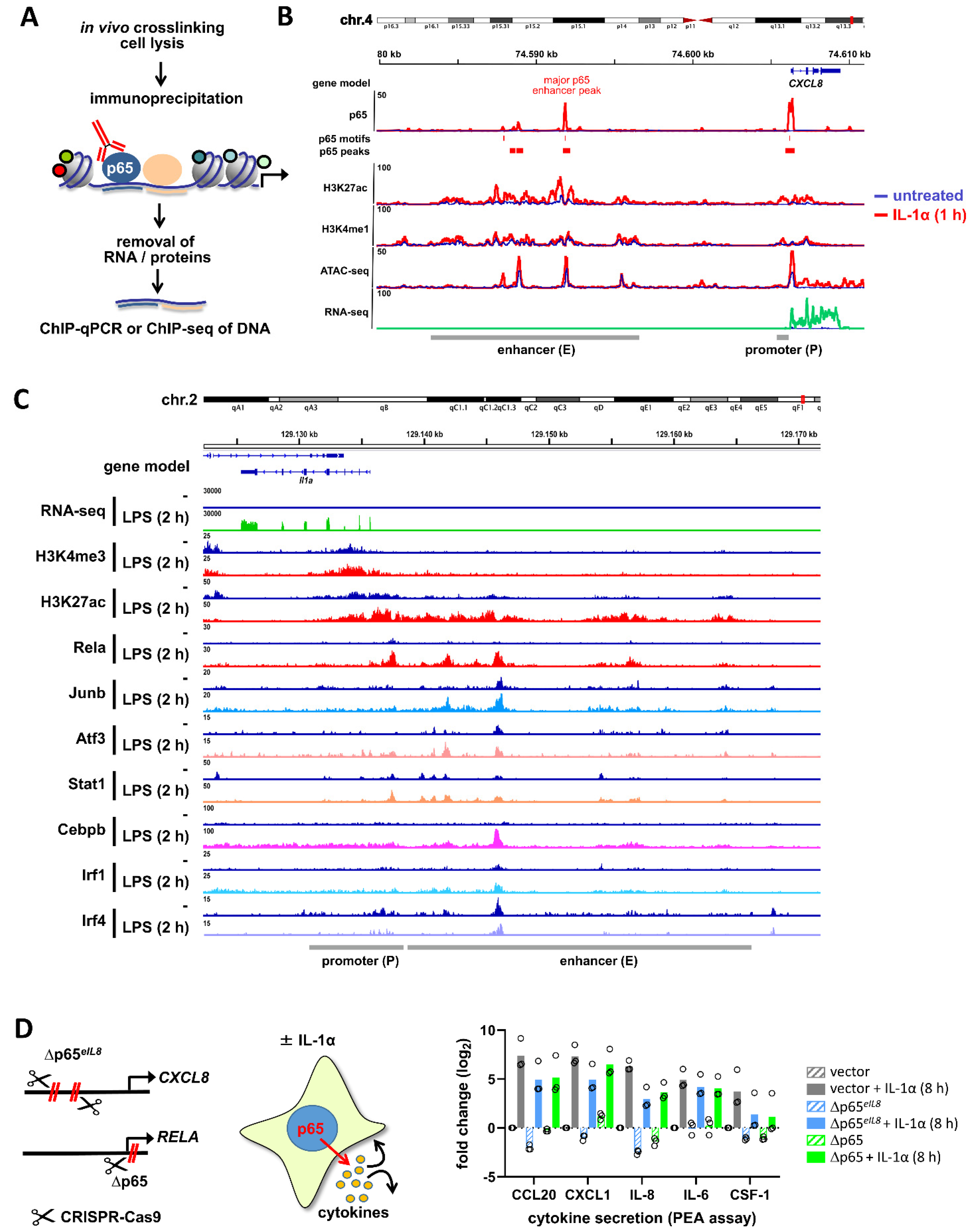 Cancers 13 05351 g006