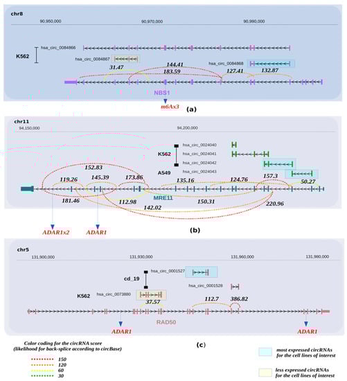 Cancers 13 05352 g002 550