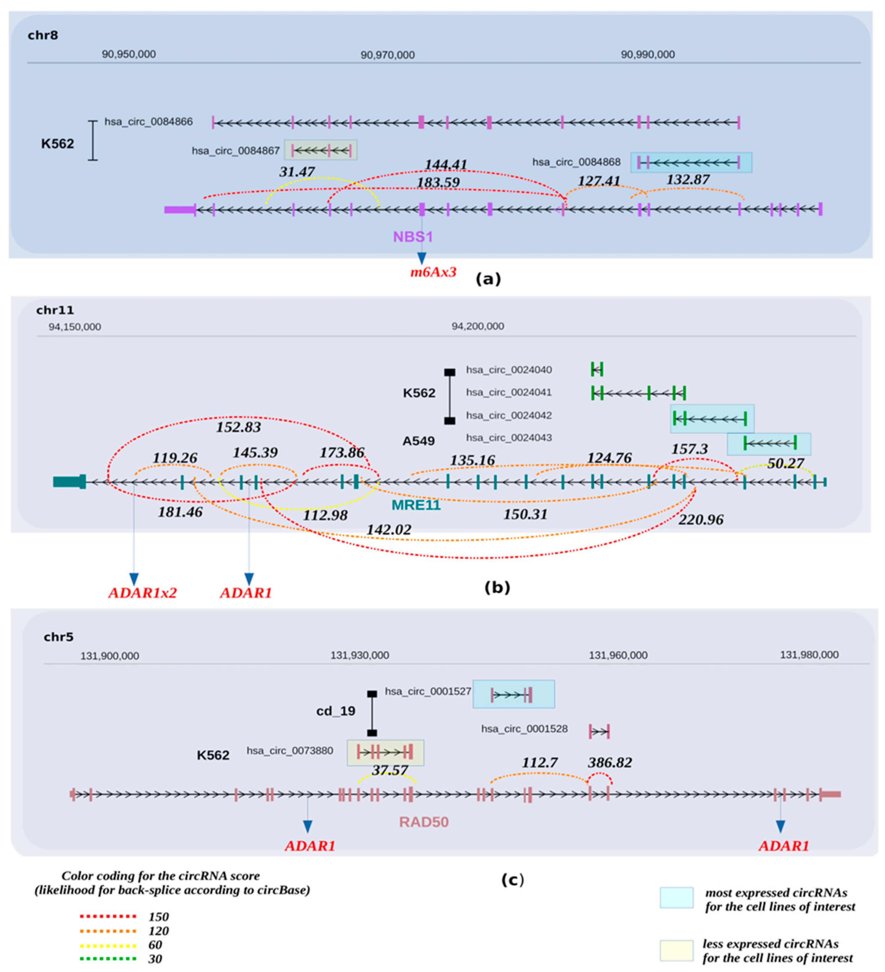 Cancers 13 05352 g002