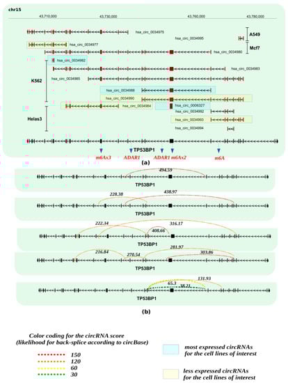 Cancers 13 05352 g003 550