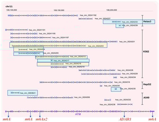 Cancers 13 05352 g004 550
