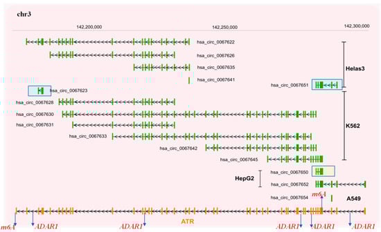 Cancers 13 05352 g005 550